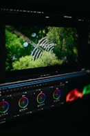 Video editing software interface with color grading tools