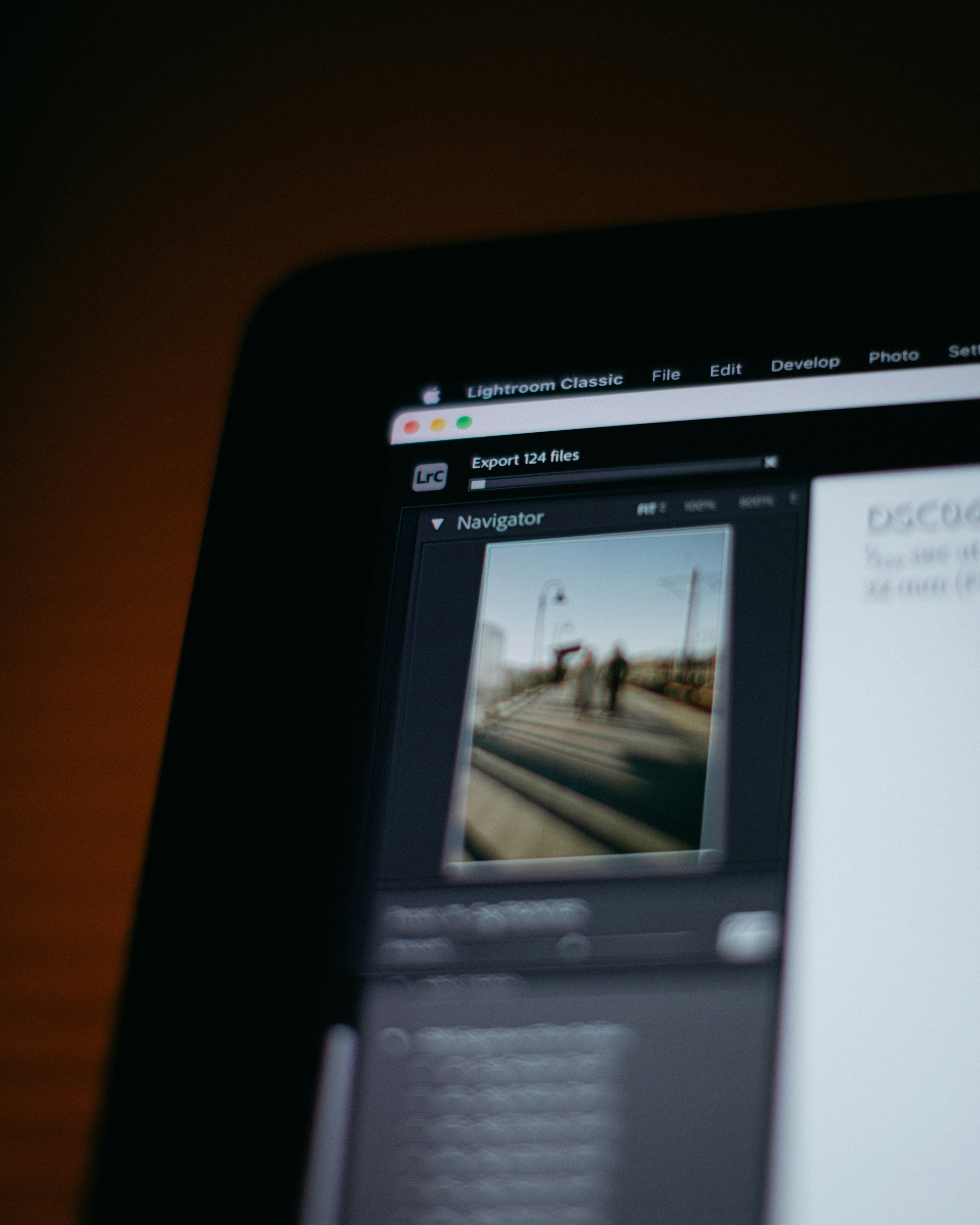 Computer screen showing editing software with photograph