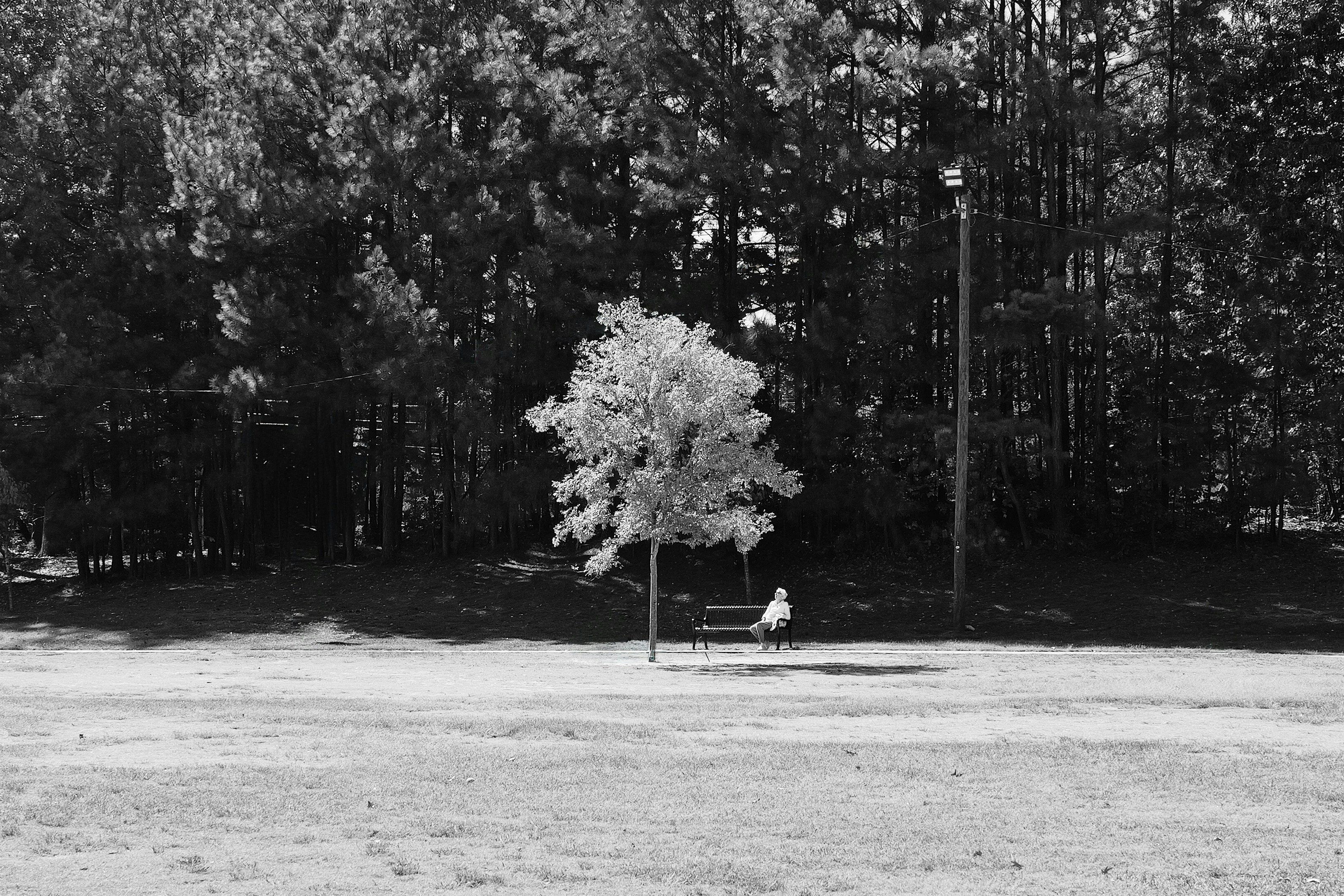 Photo by _zash_capturing