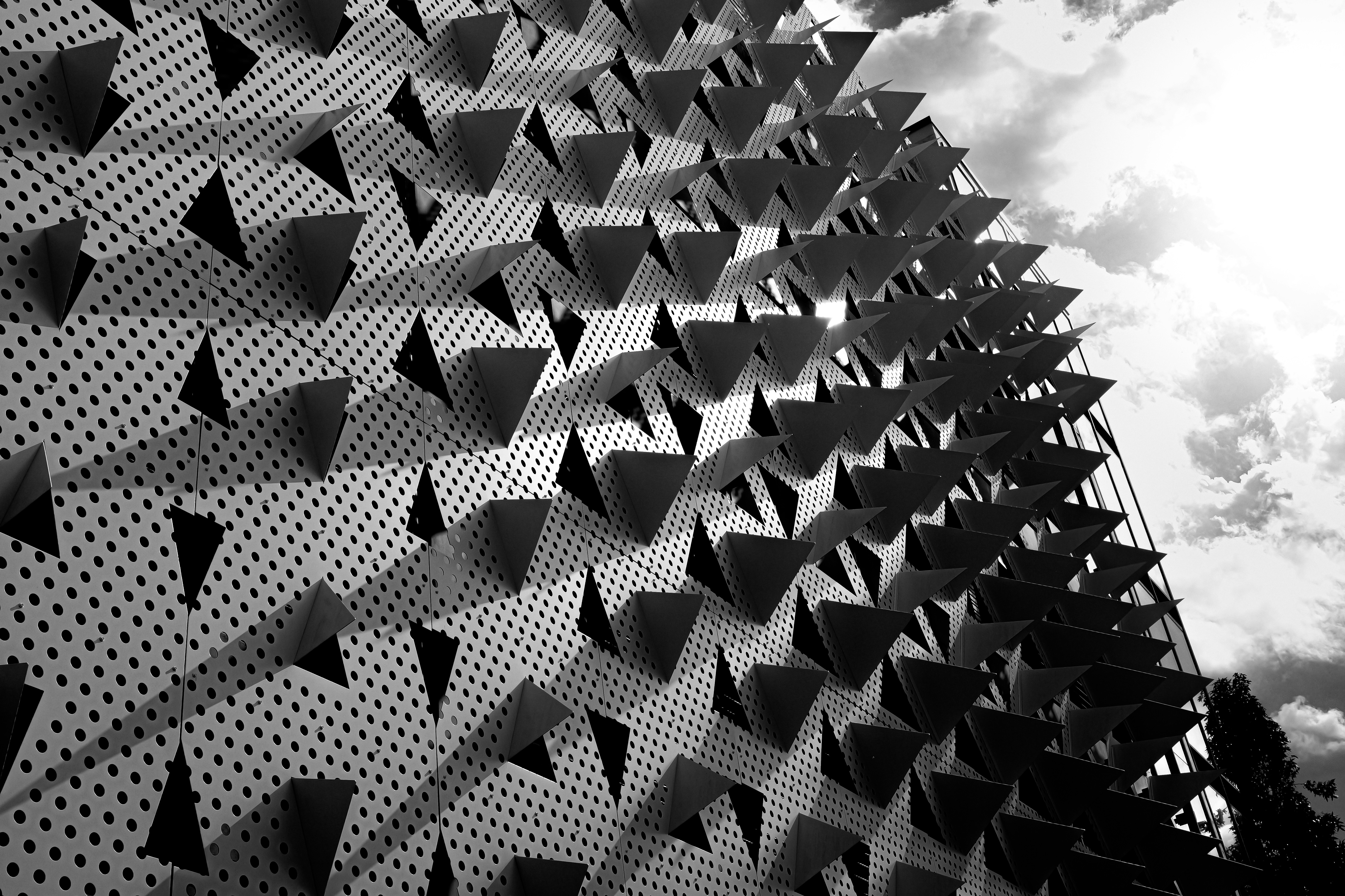 Photo by _zash_capturing