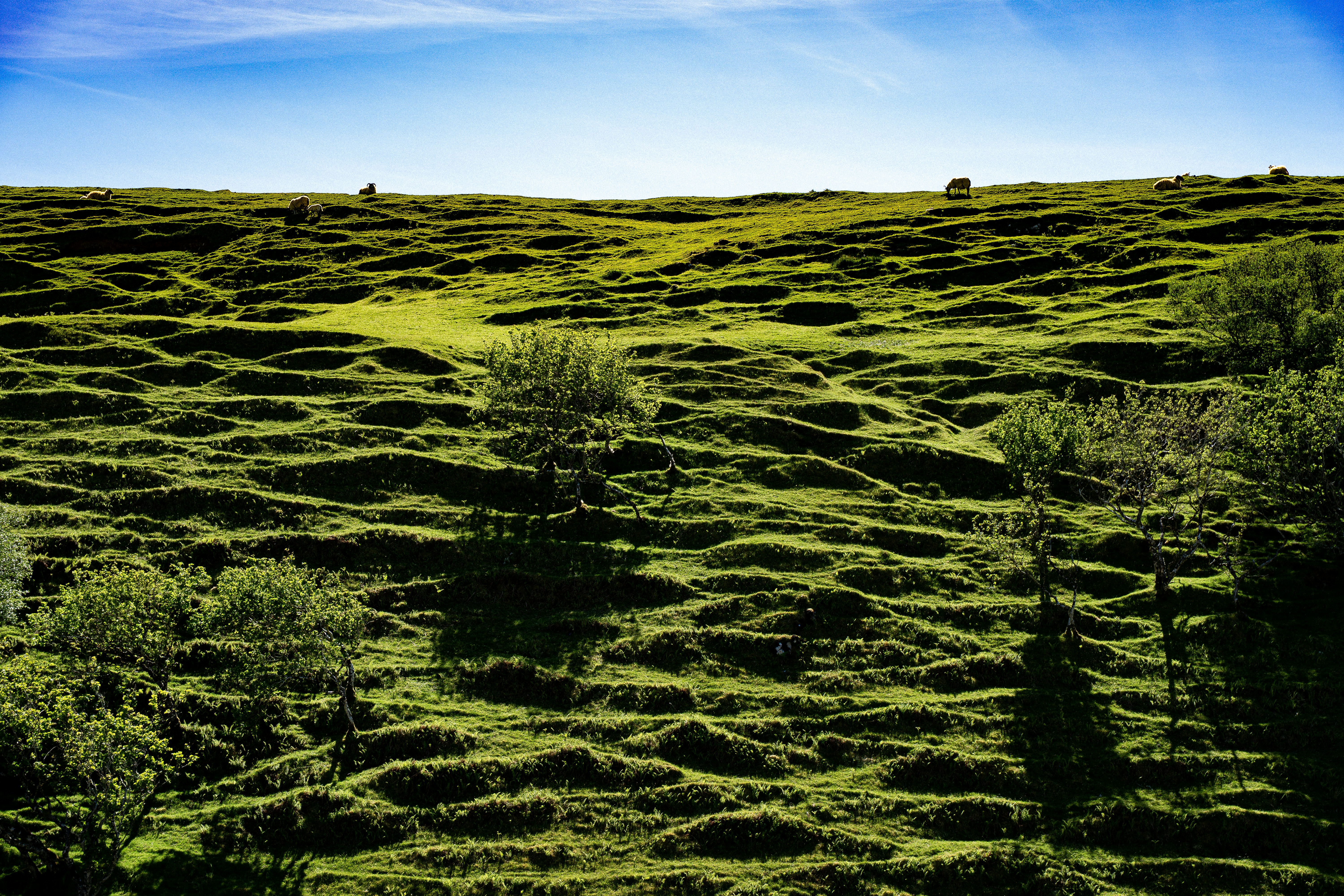 Rolling green hills under a bright blue sky