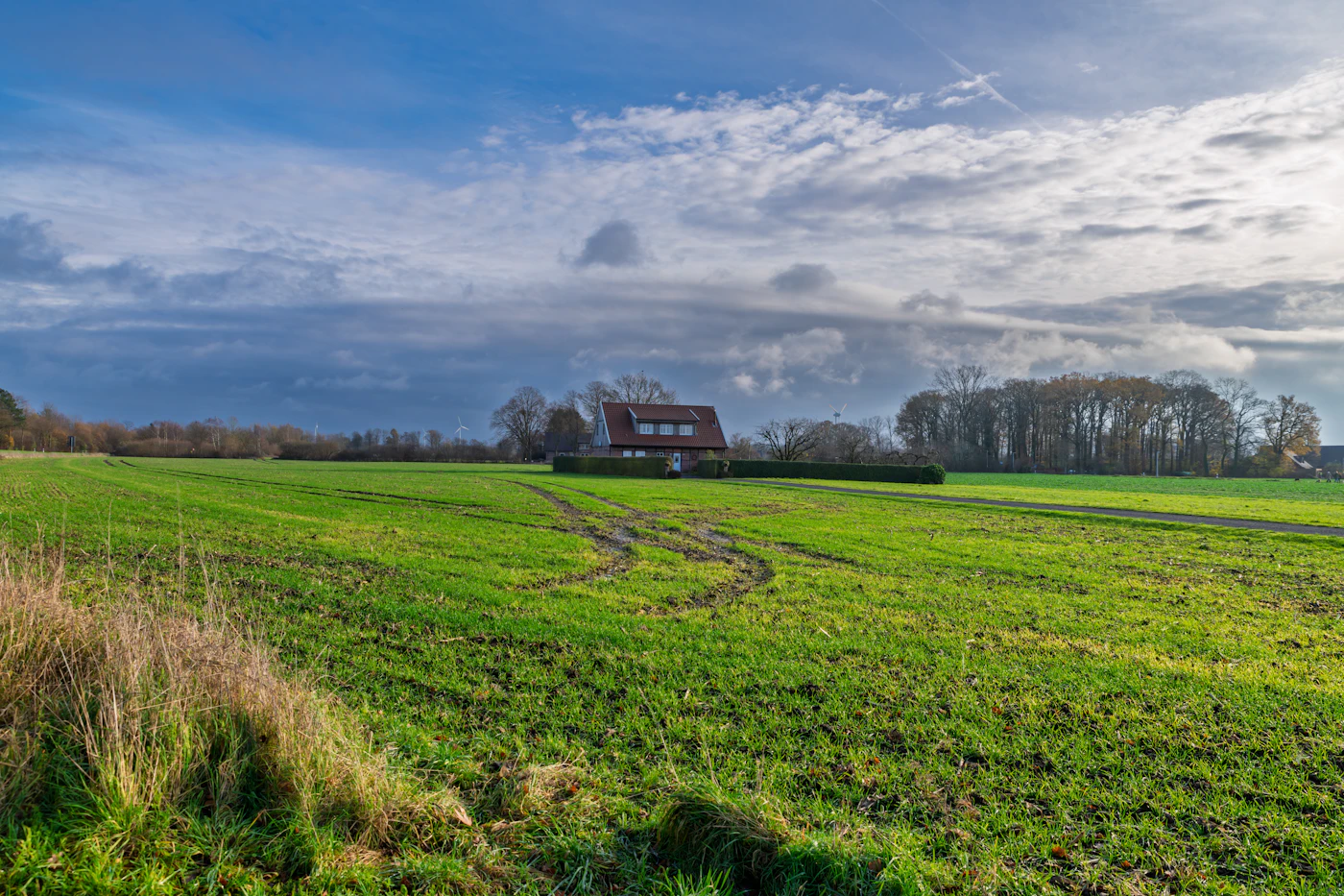 Green farm field with homes on the horizon