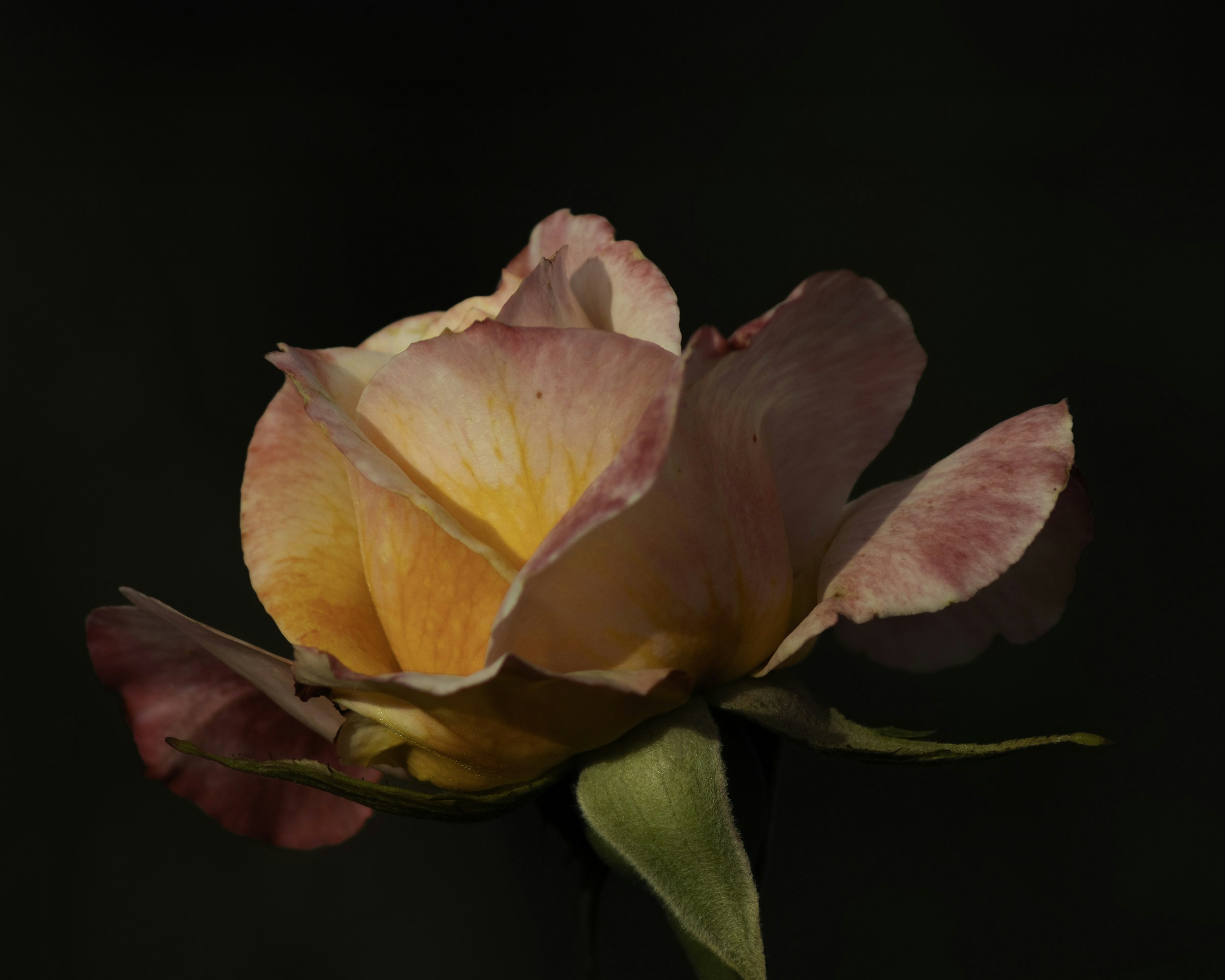 Photo by annaflowers24