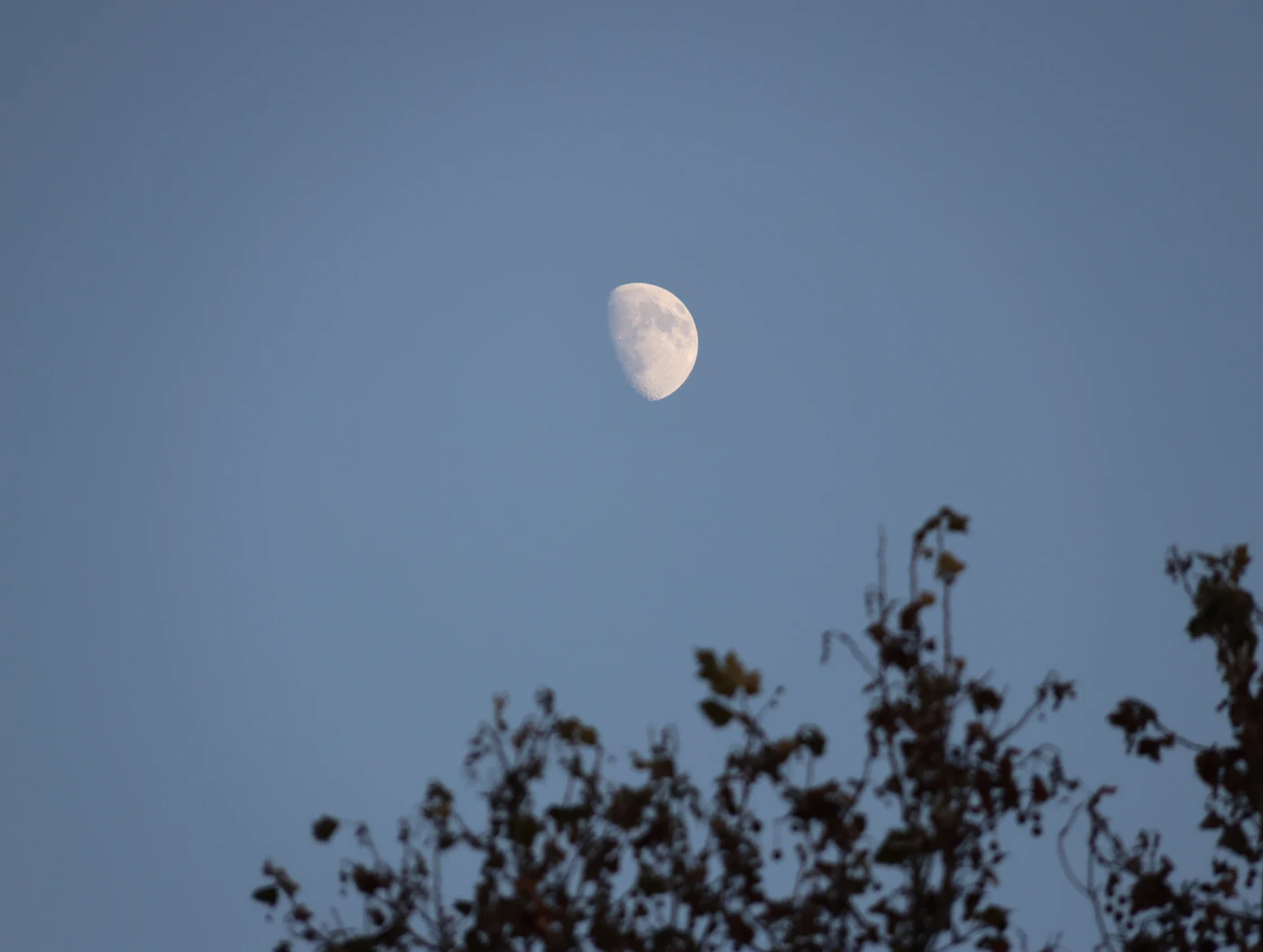 Un croissant de lune dans un ciel de crépuscule aux tons bleu et rose