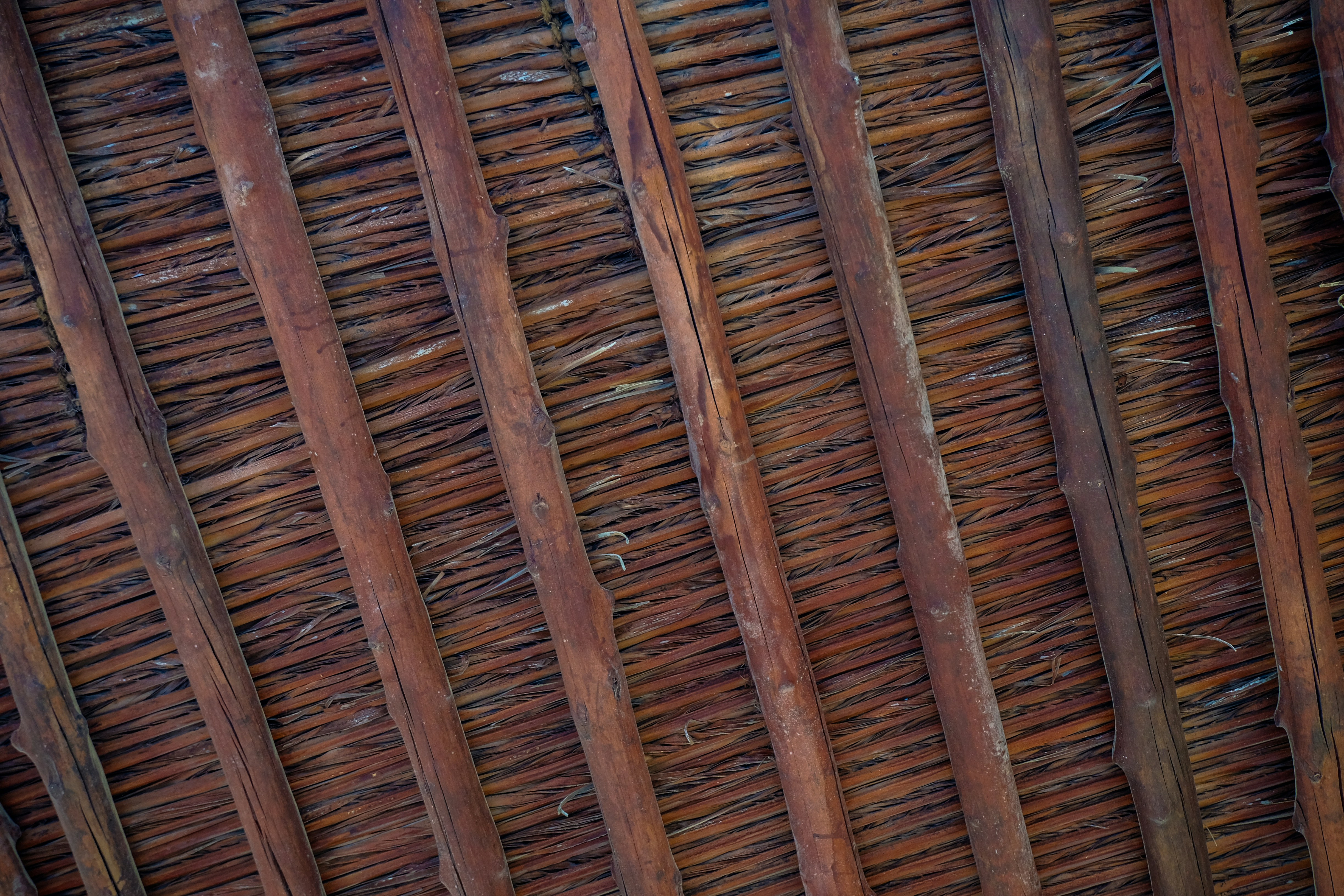 Thatch roof with wooden beams overhead
