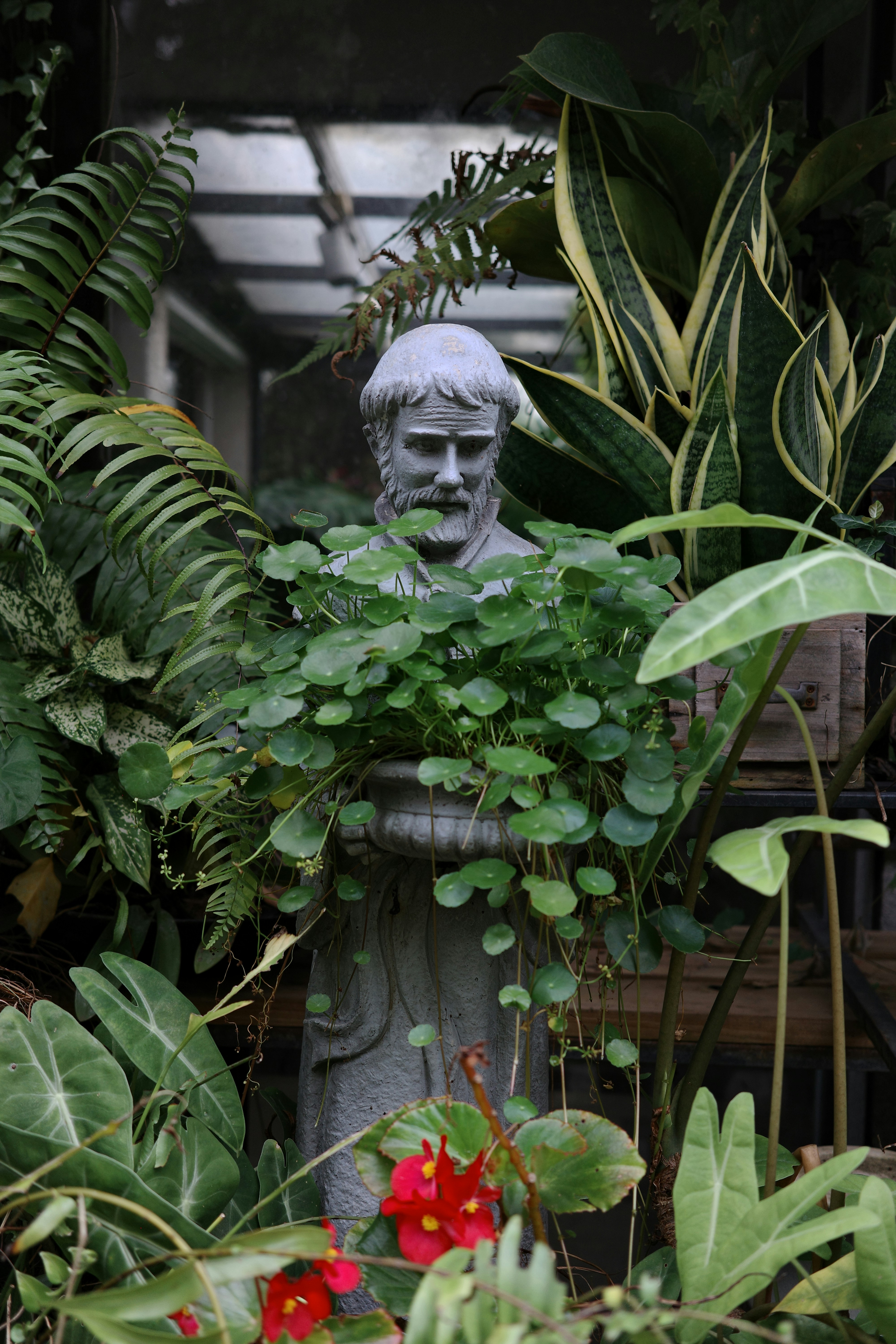 Stone bust surrounded by lush green plants and red flowers.