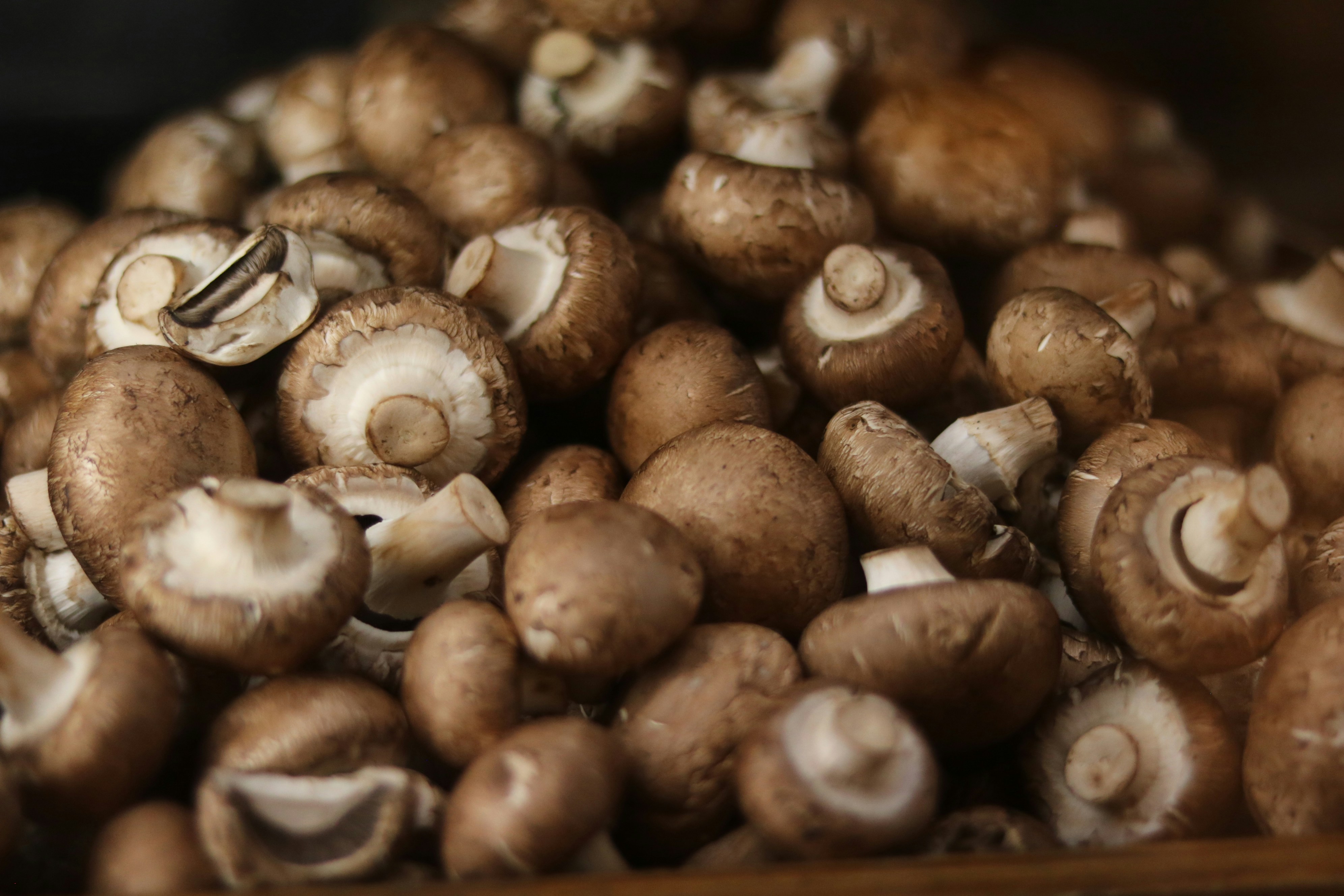 Photo by allysphotos