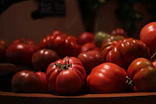 A collection of ripe heirloom tomatoes on display