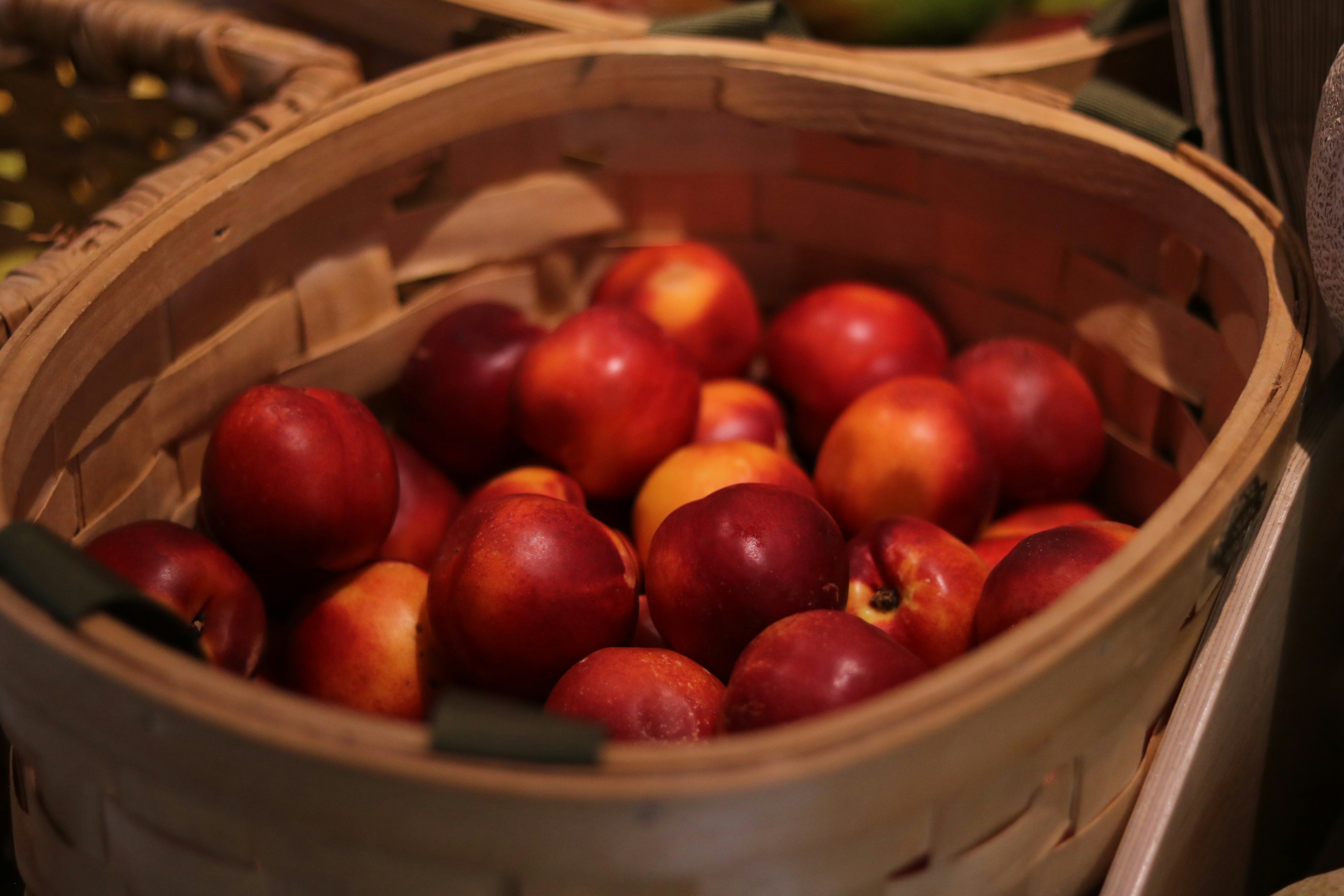 A basket filled with ripe nectarines