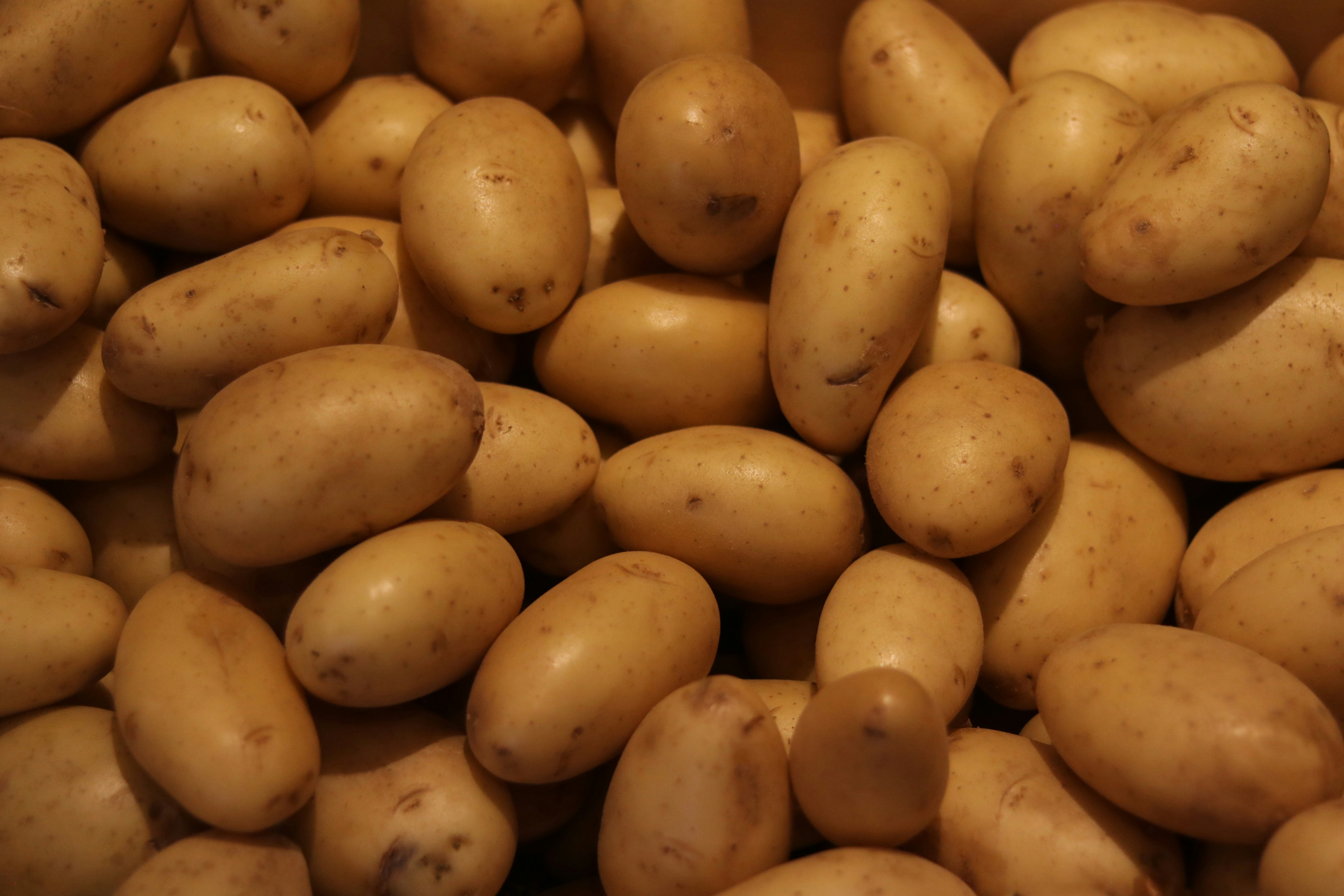 Photo by allysphotos