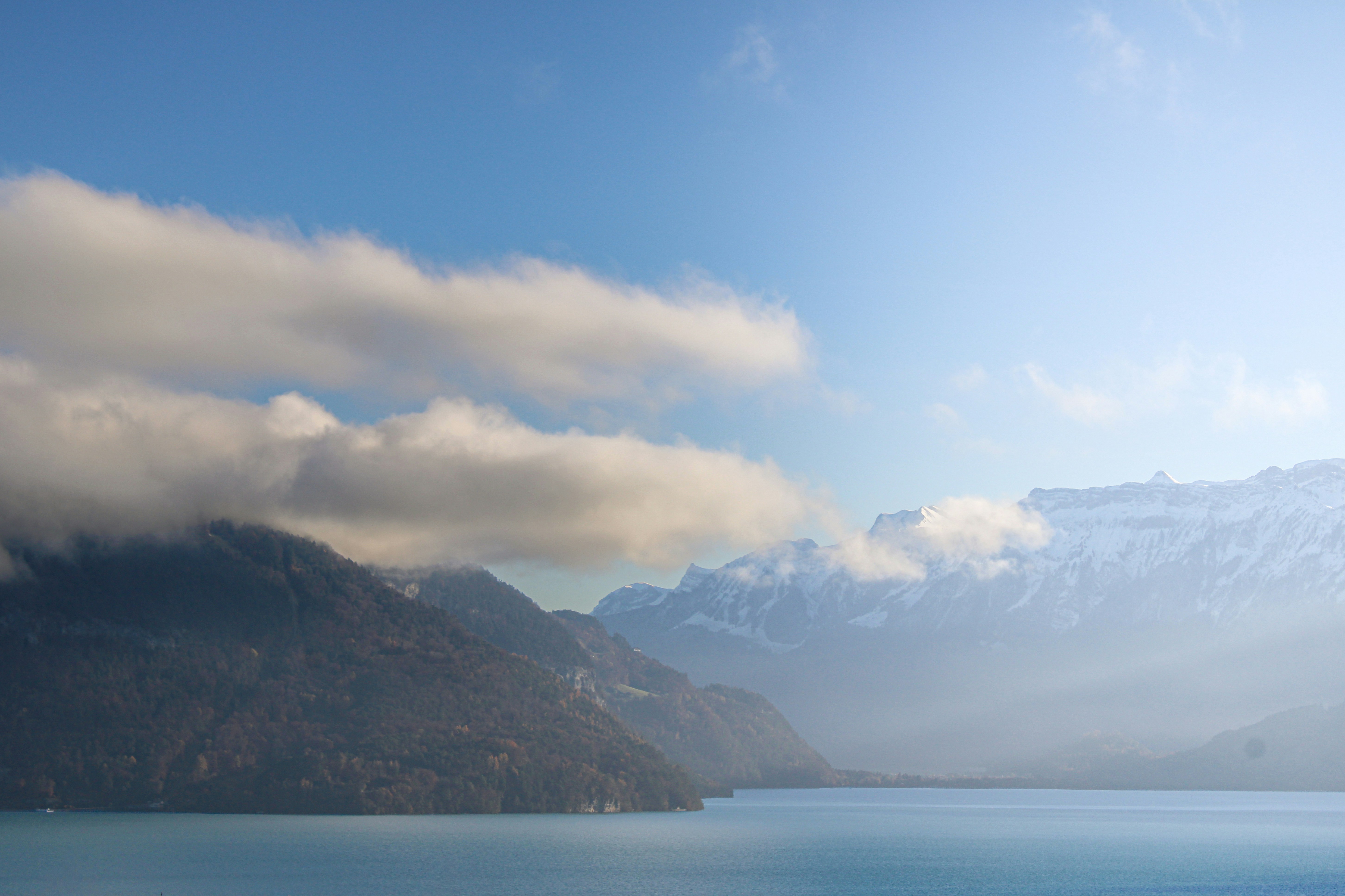 Photo by thequietatlas