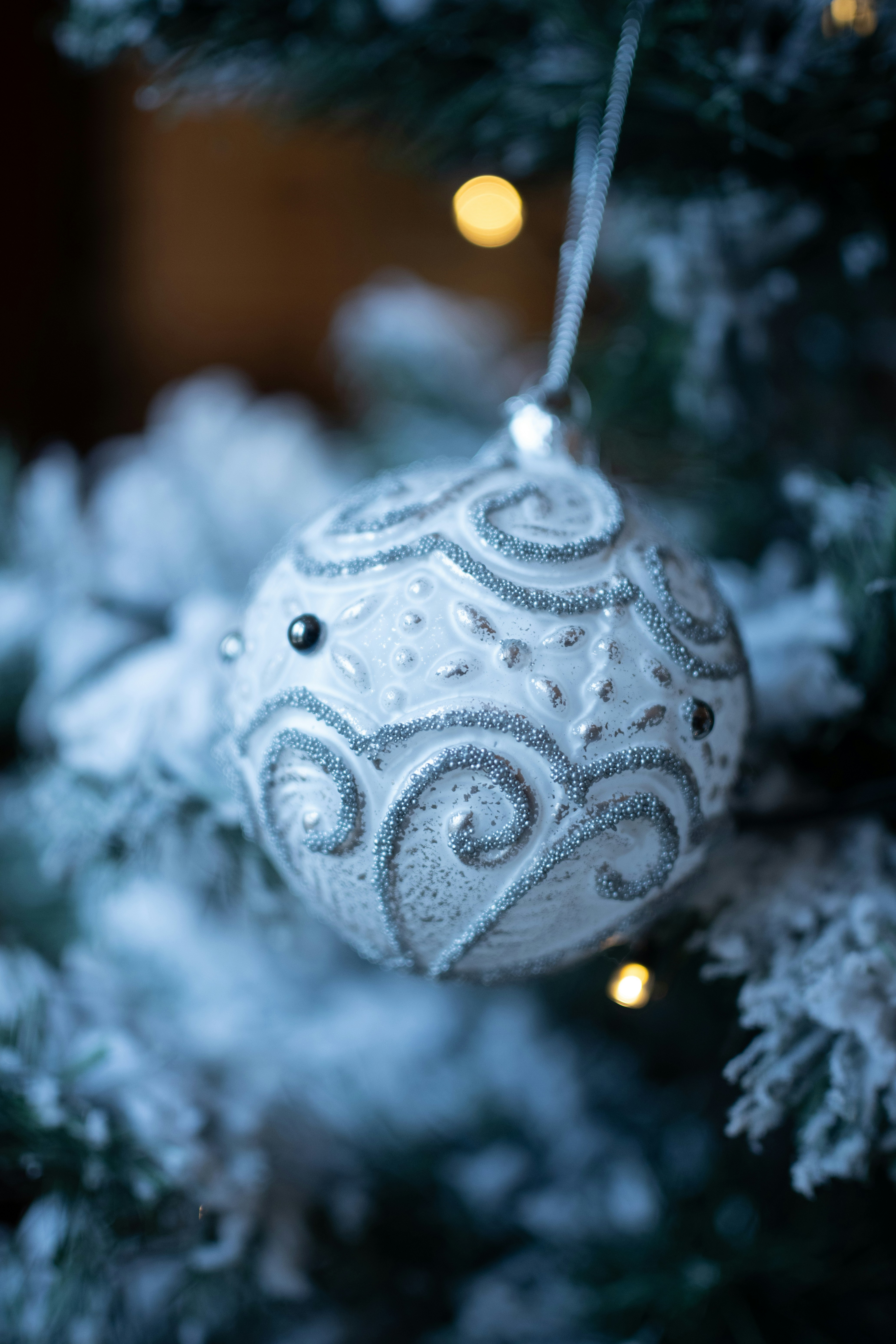 Photo by raymondpetrik