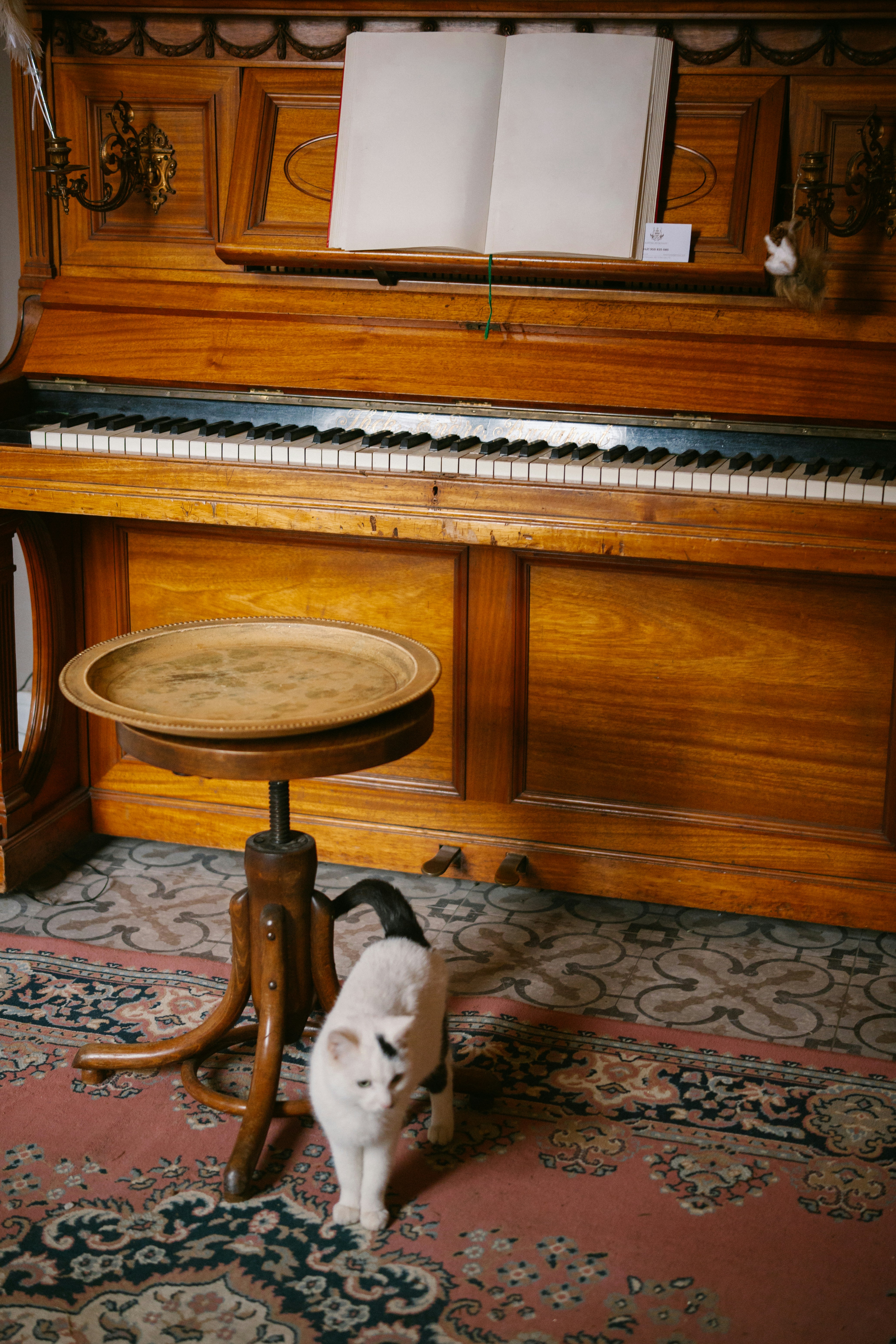 Revisiting the "Activity - Relation" Framework (2017)