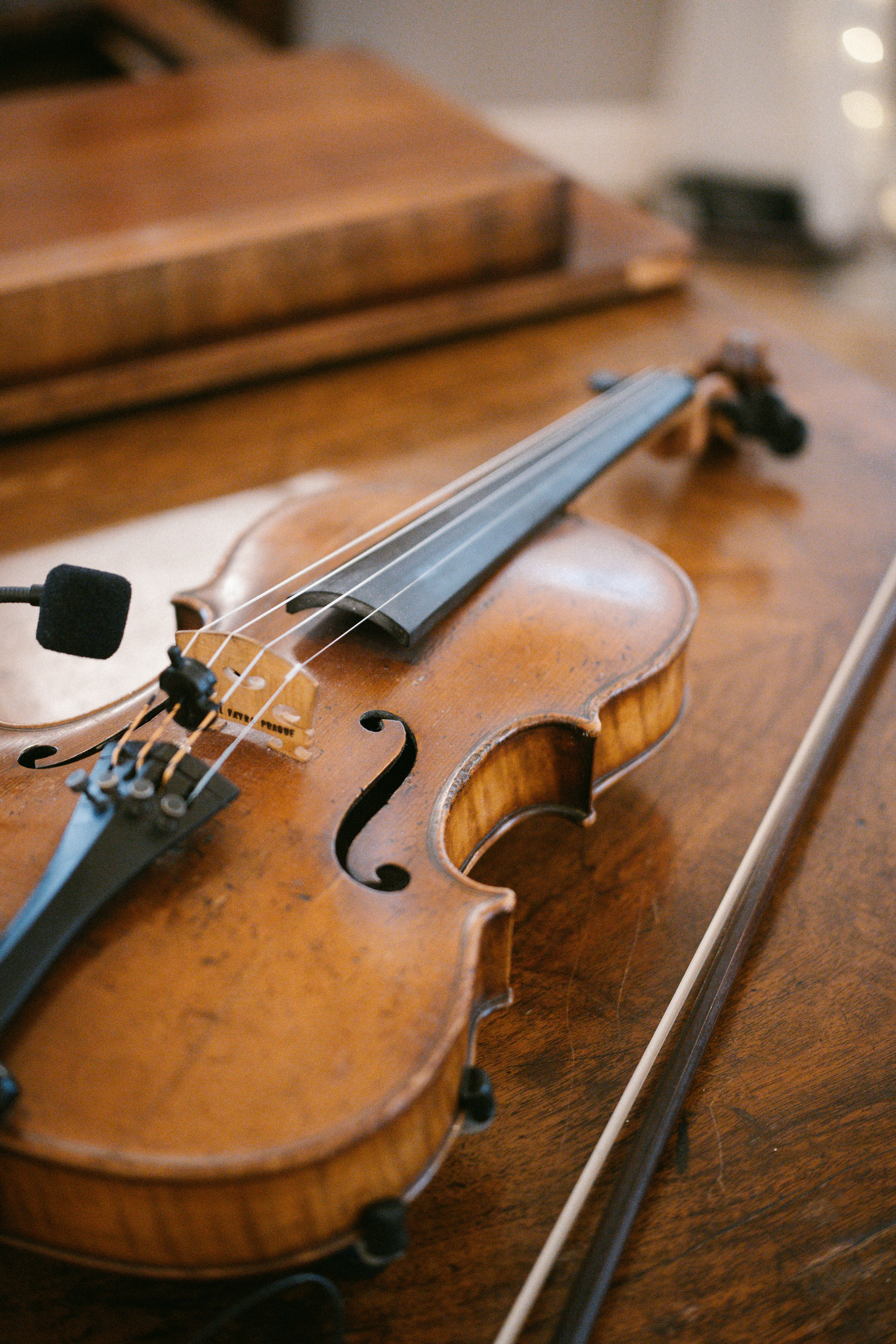 Photo by raymondpetrik