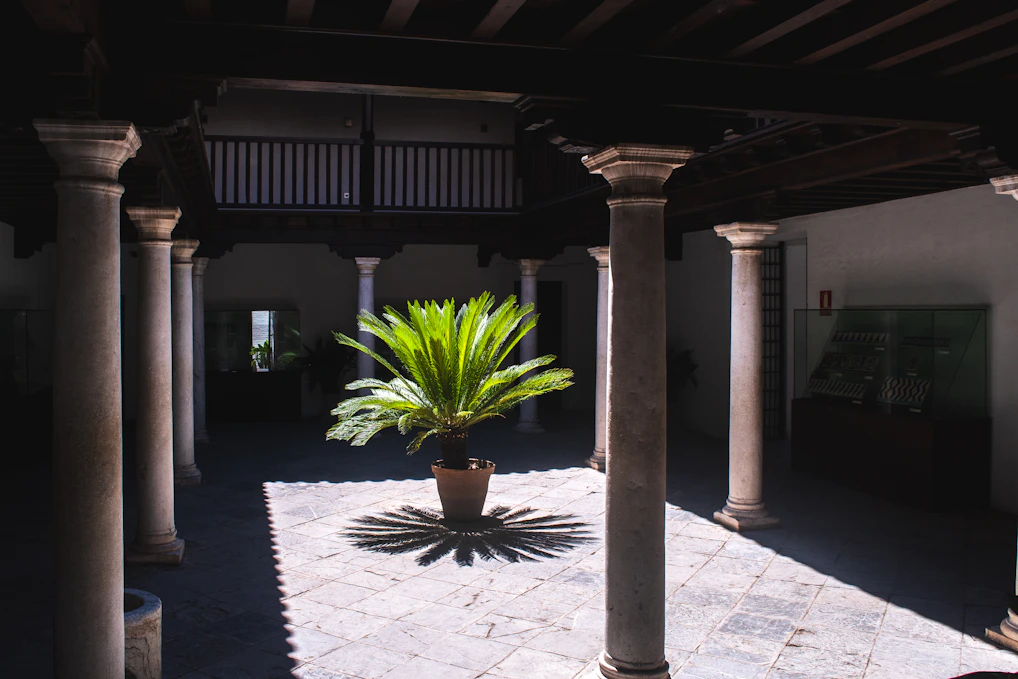 Courtyard with potted plant and columns