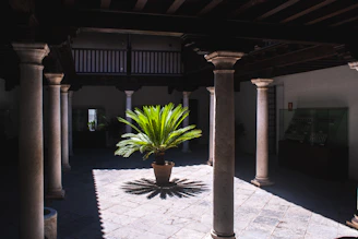 Courtyard with potted plant and columns