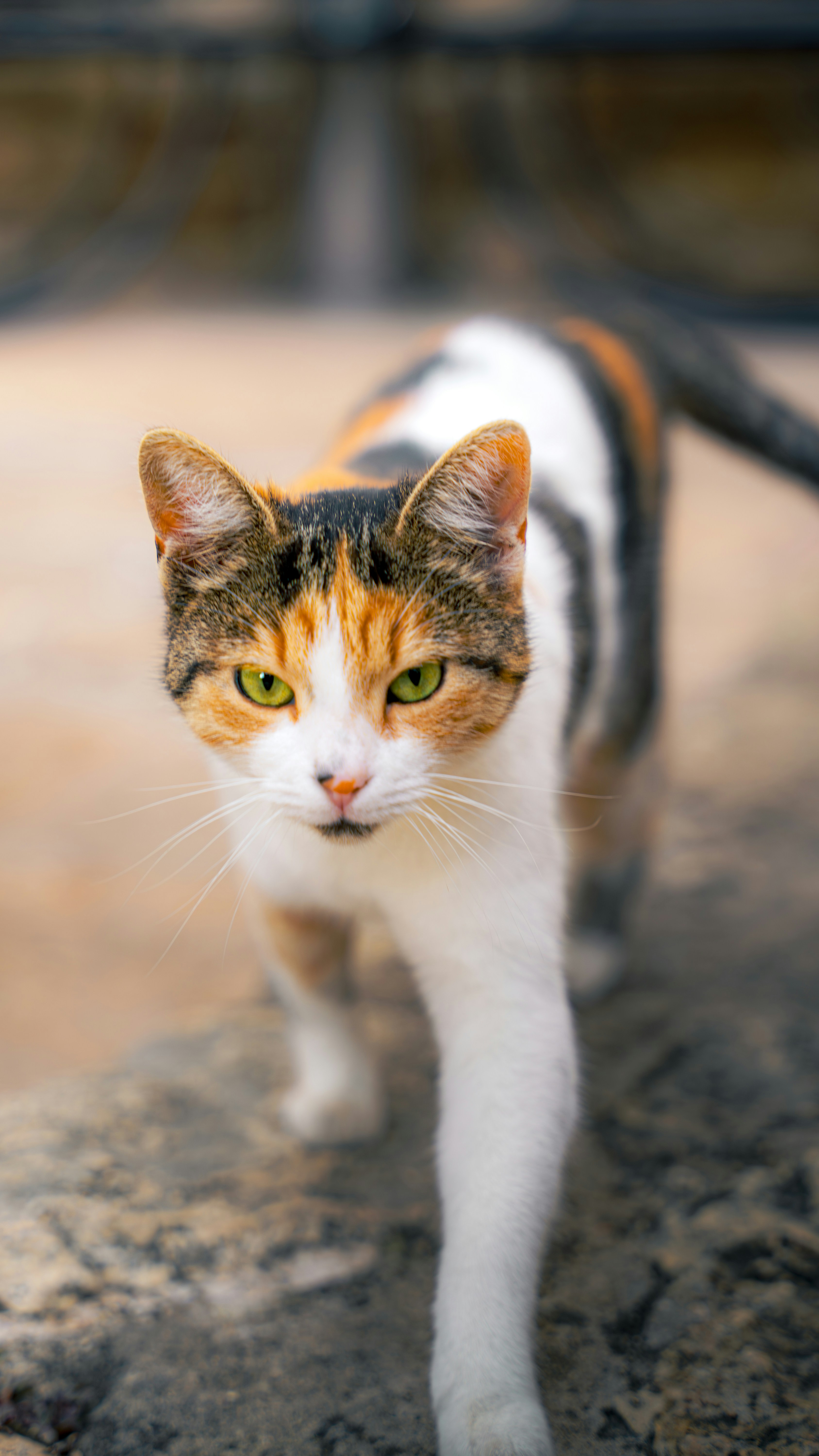 Photo by kilicemre7007