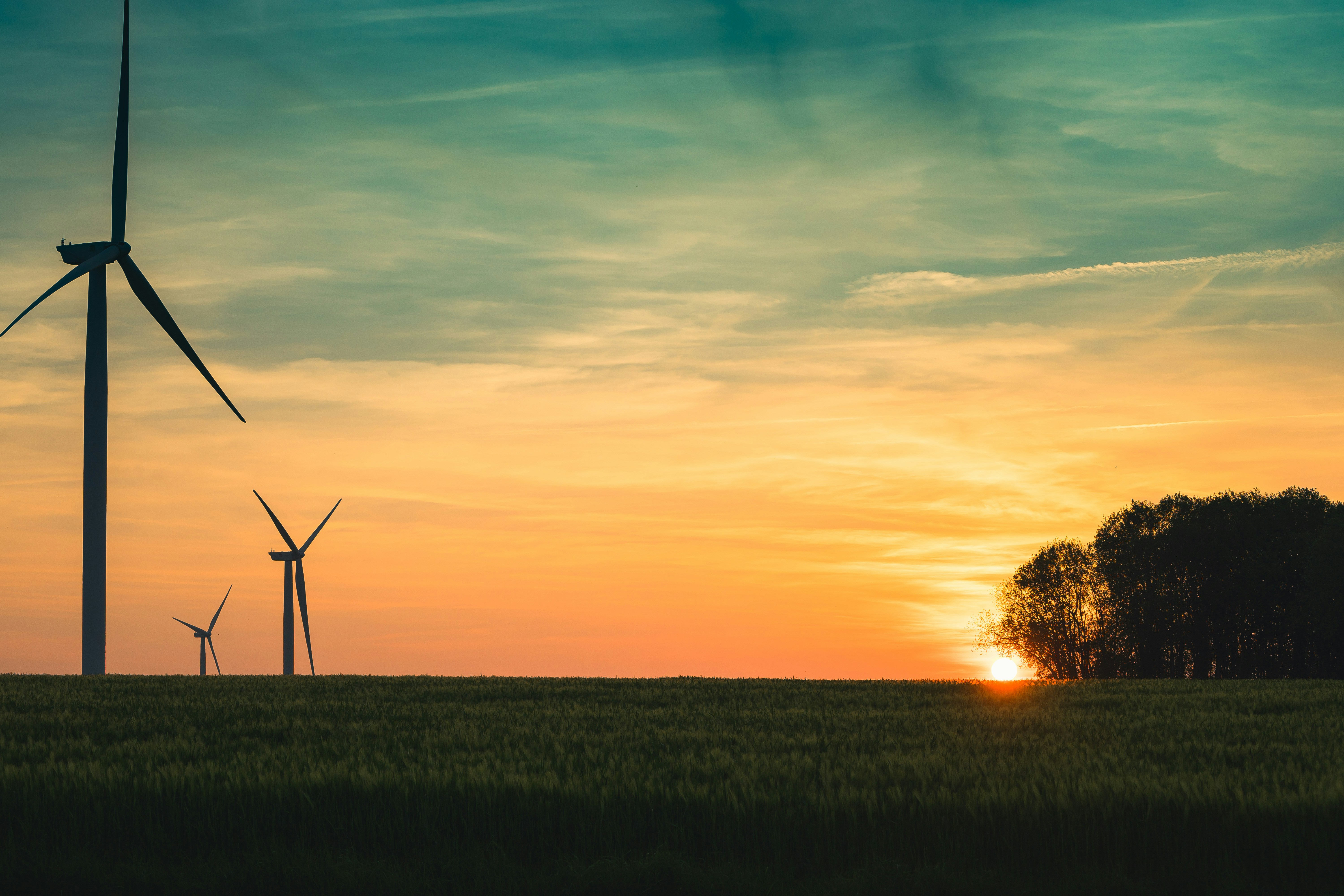 Pledges Under the Microscope: Separating Genuine Corporate Climate Leadership from Green Theater