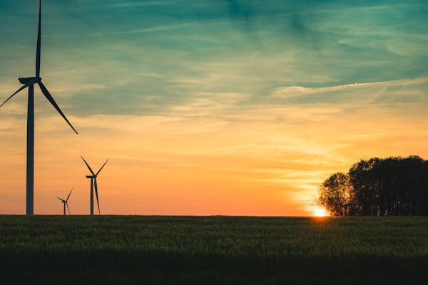 Windräder im Abendlicht
