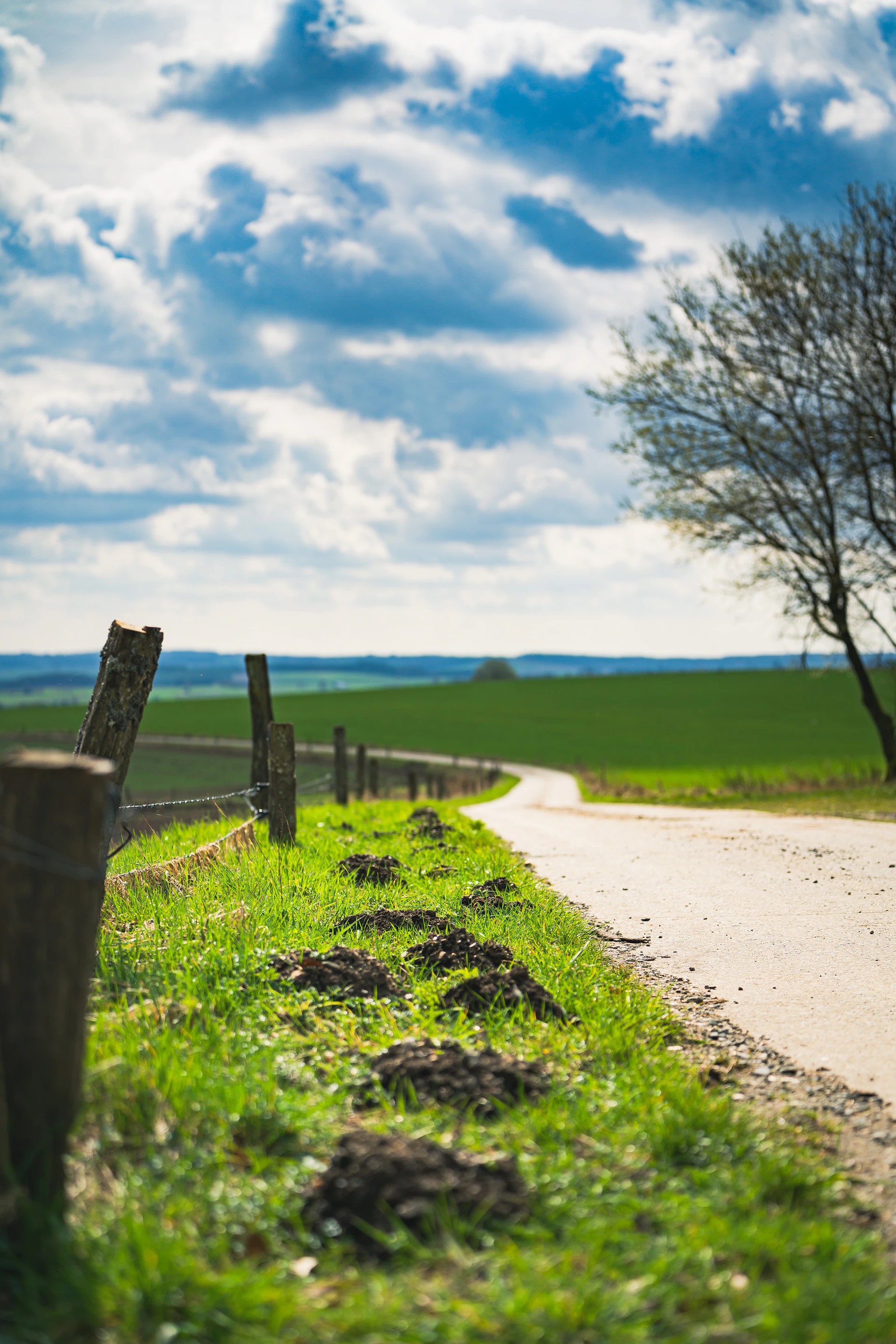 Dirt road curves through green fields under cloudy sky