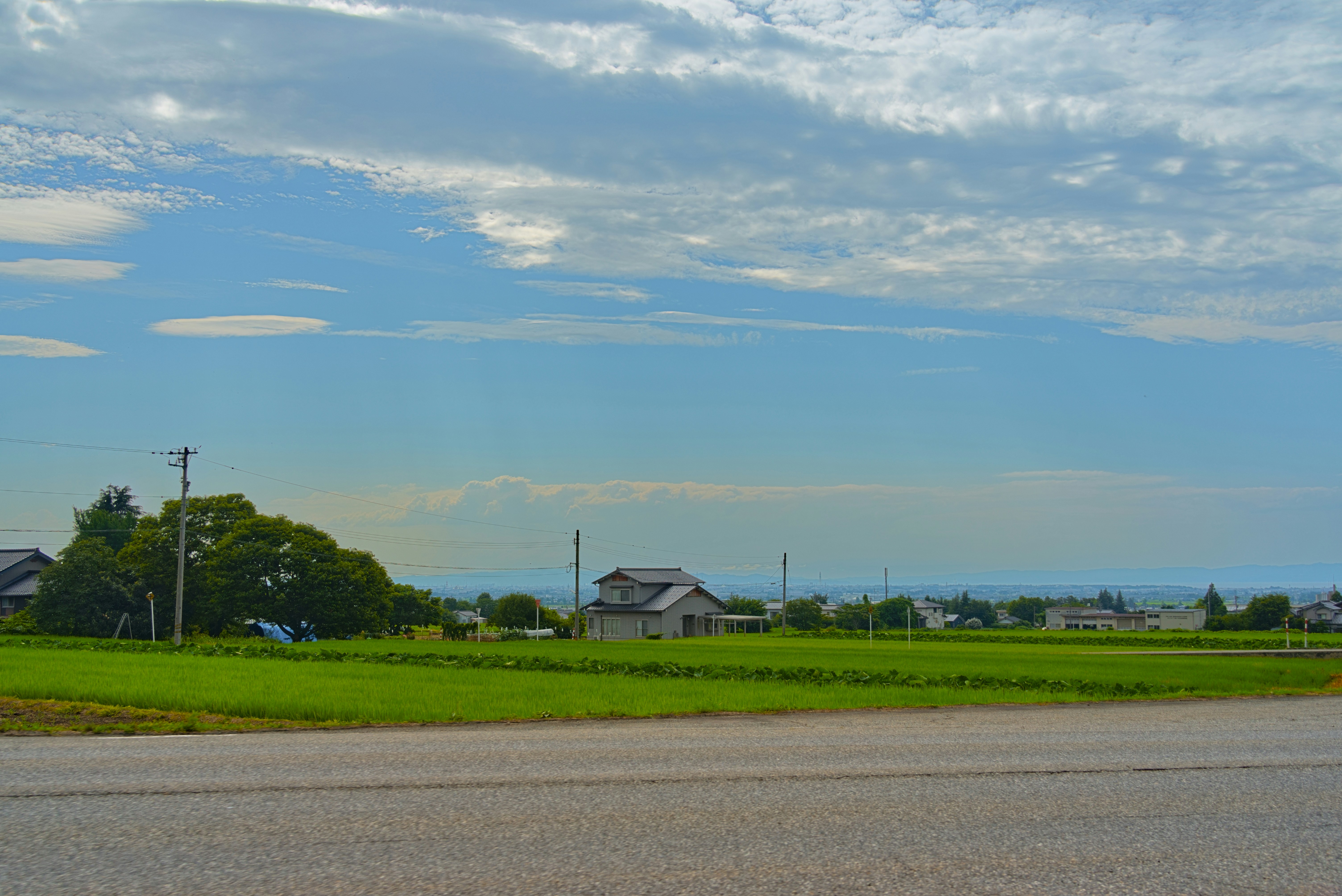 Rural landscape with houses and green fields under sky