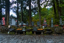 Stone statues line a mossy path in a forest.