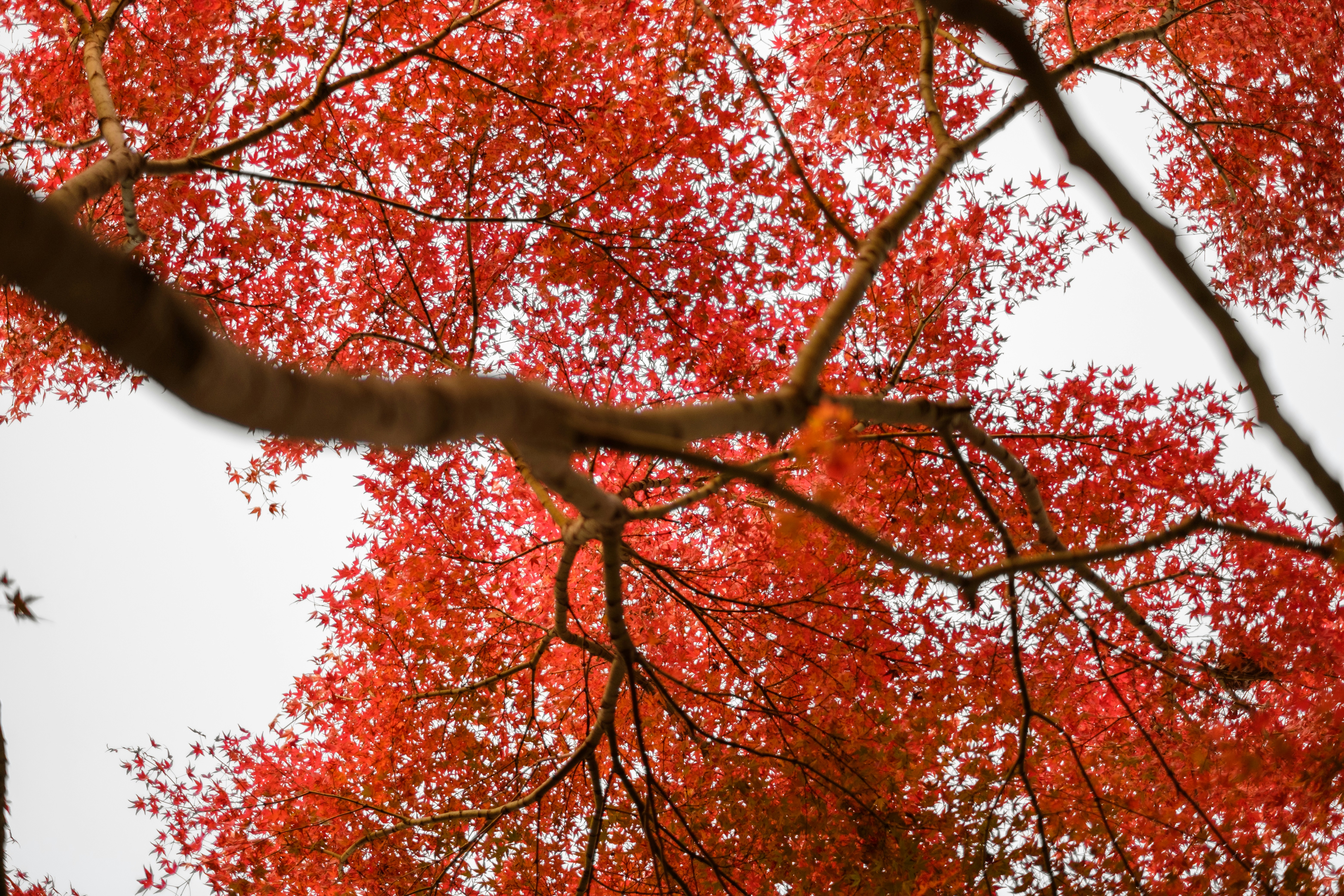 Photo by wenhao_ruan