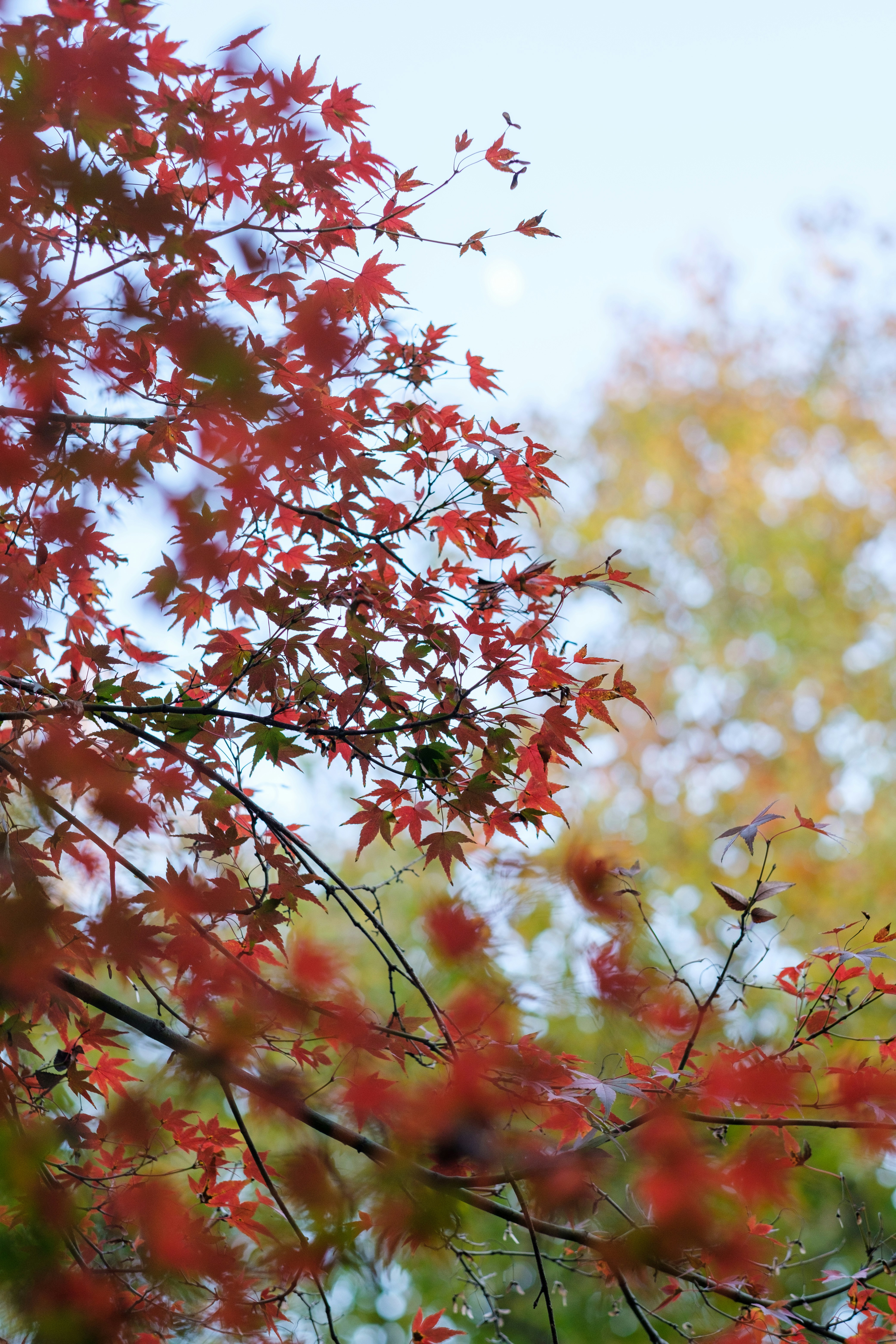 Photo by wenhao_ruan