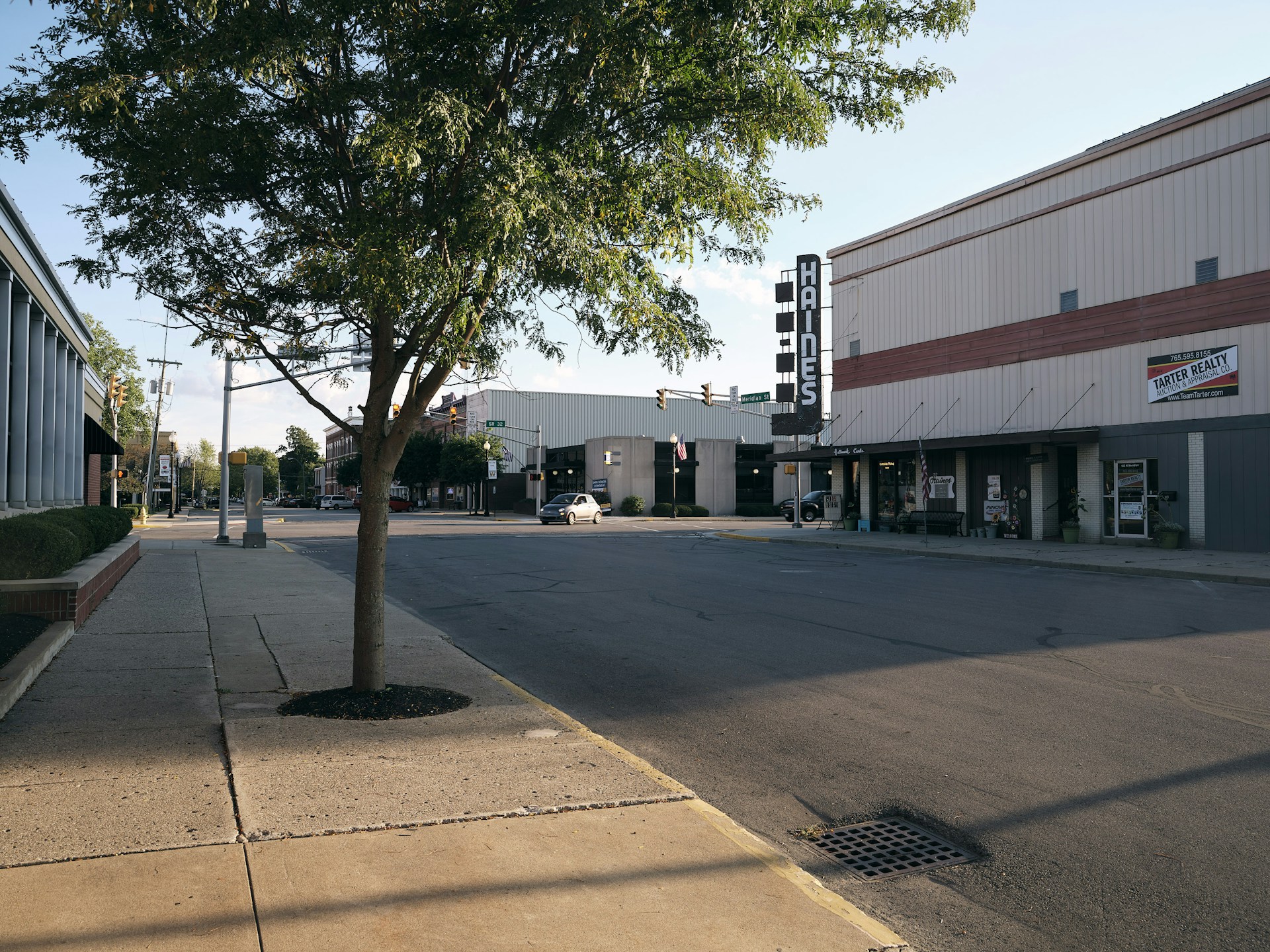 Street scene with buildings and a tree