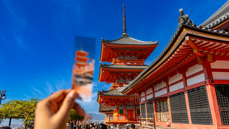 Basic Japanese for Tourists: 50 Essential Phrases & Tips