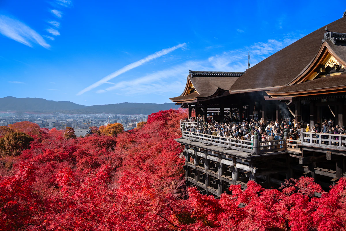 Momiji, follaje otoñal en Japón