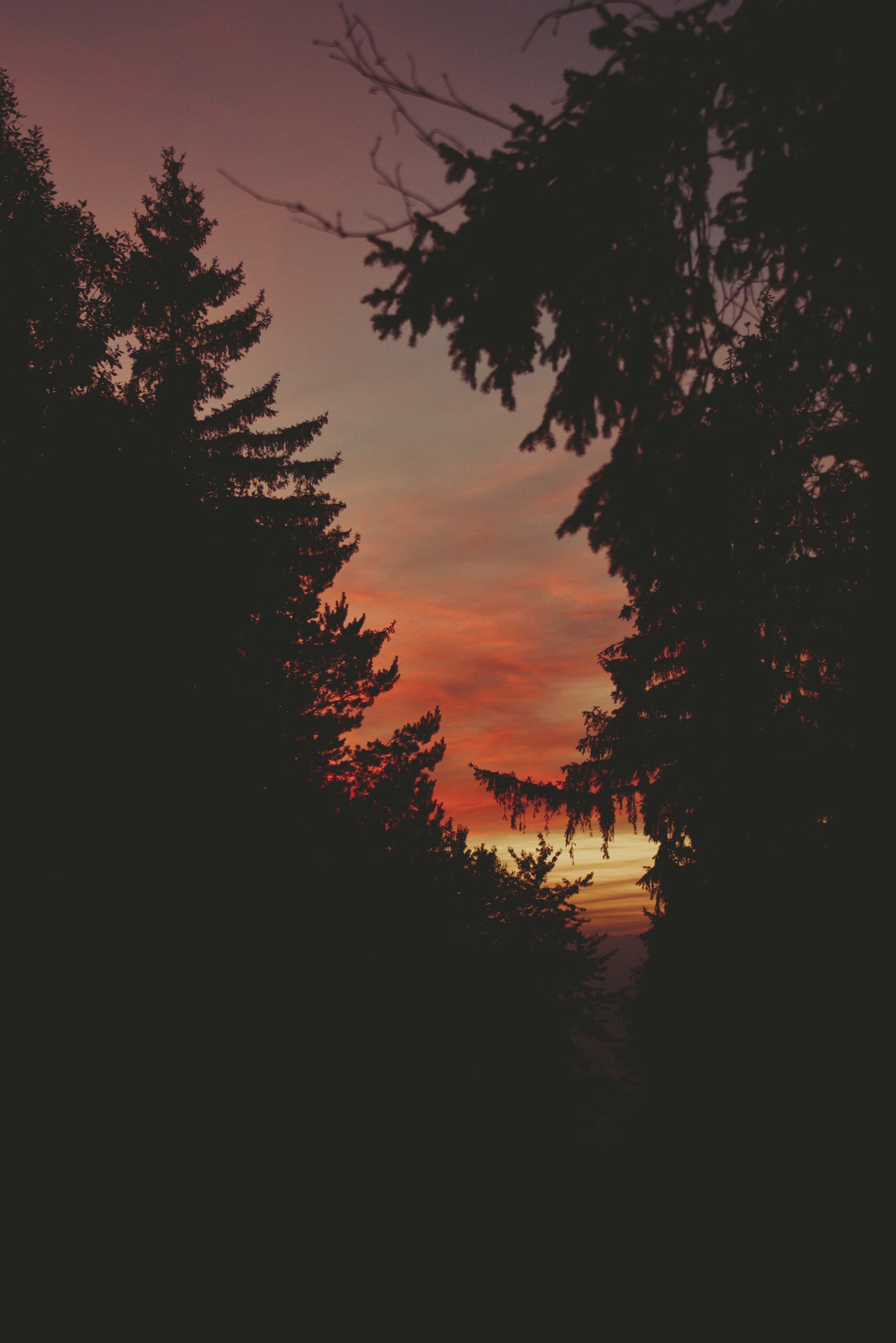 Photo by szabolcsantal