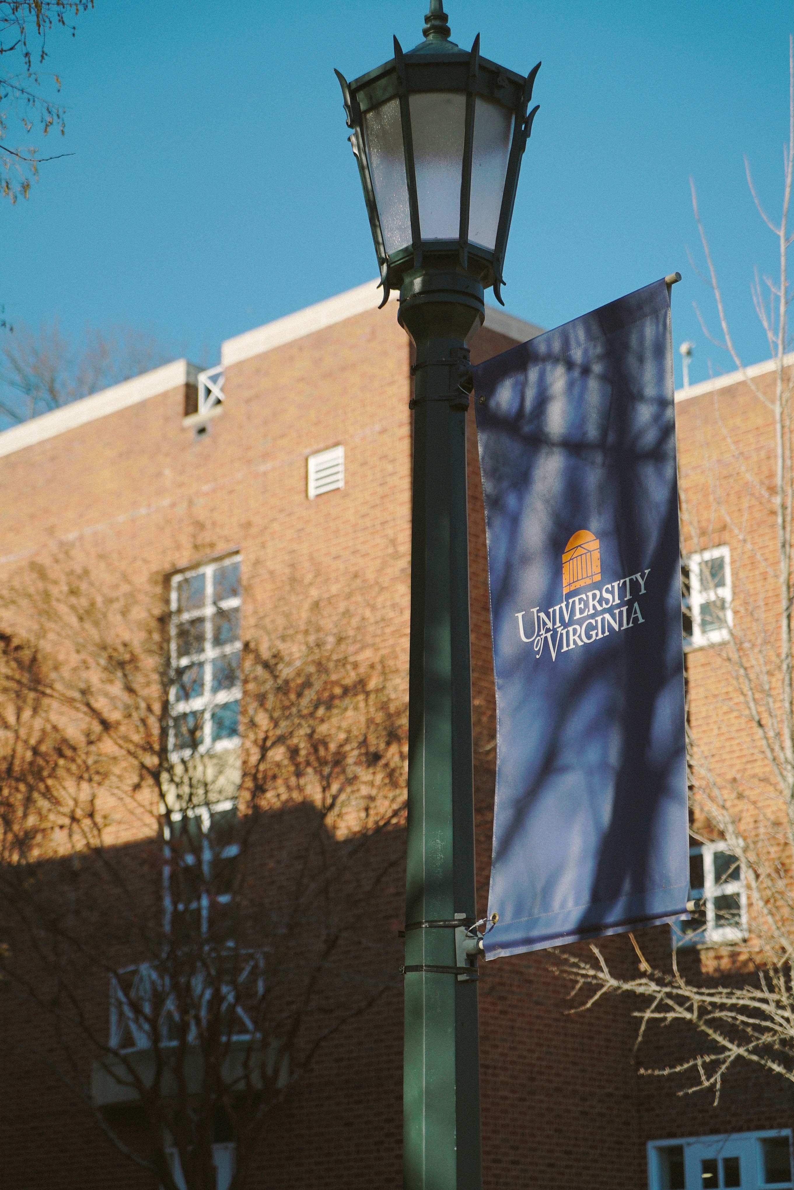 University of virginia banner on lamppost with building.