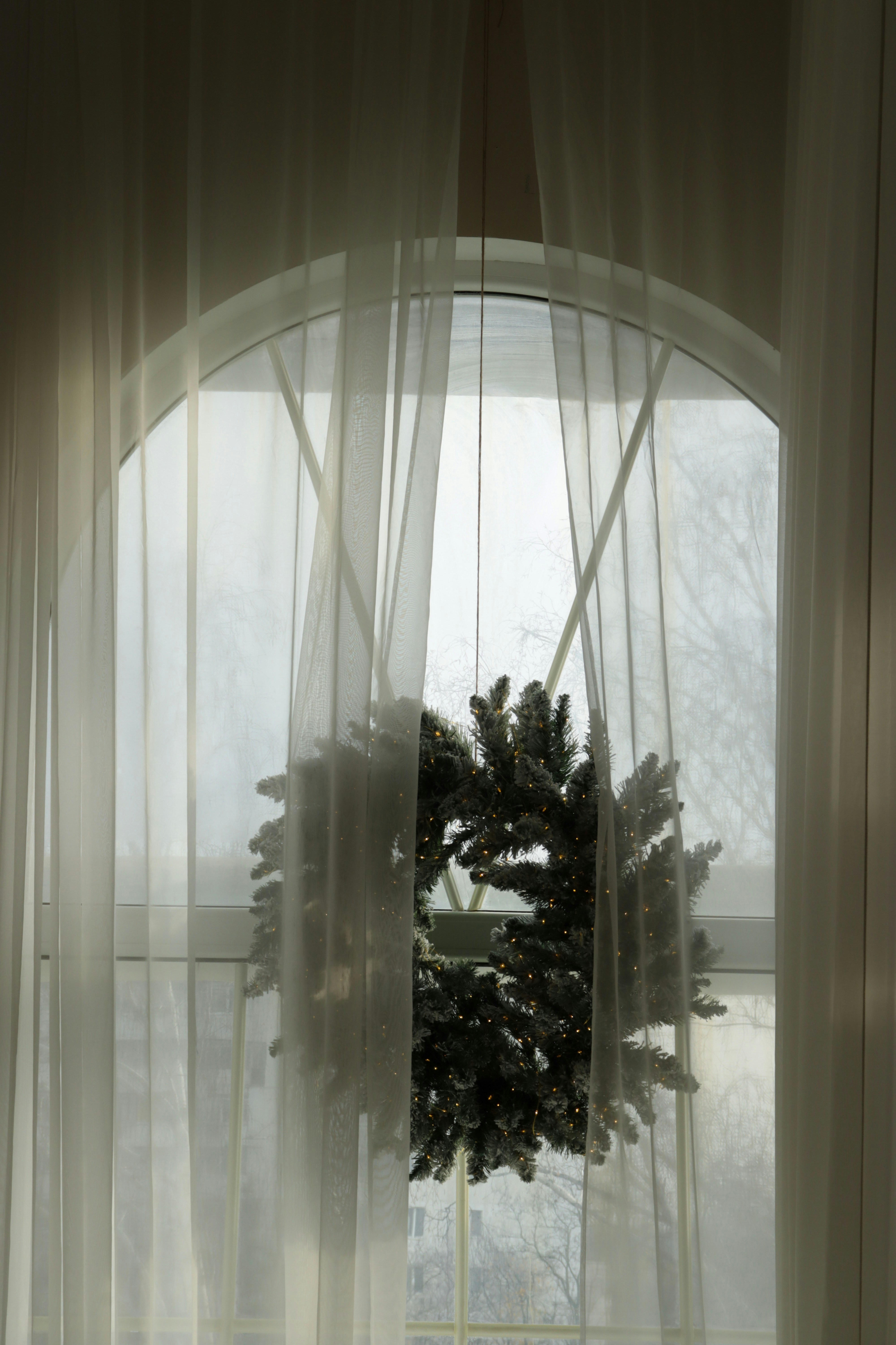 Photo by bored_mongoose