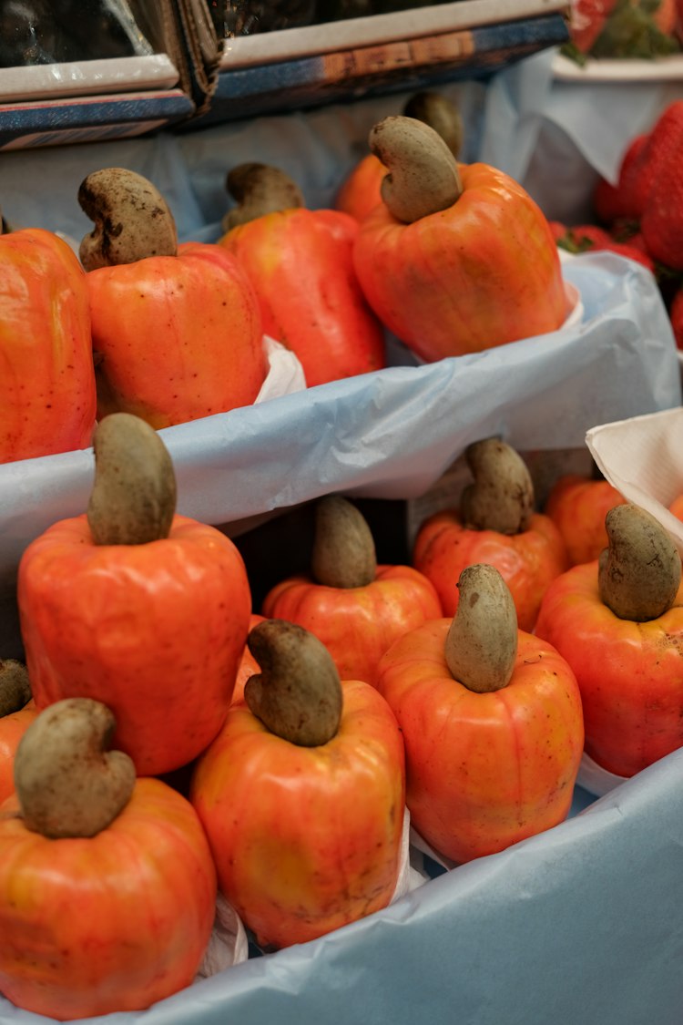 Cashew Apple