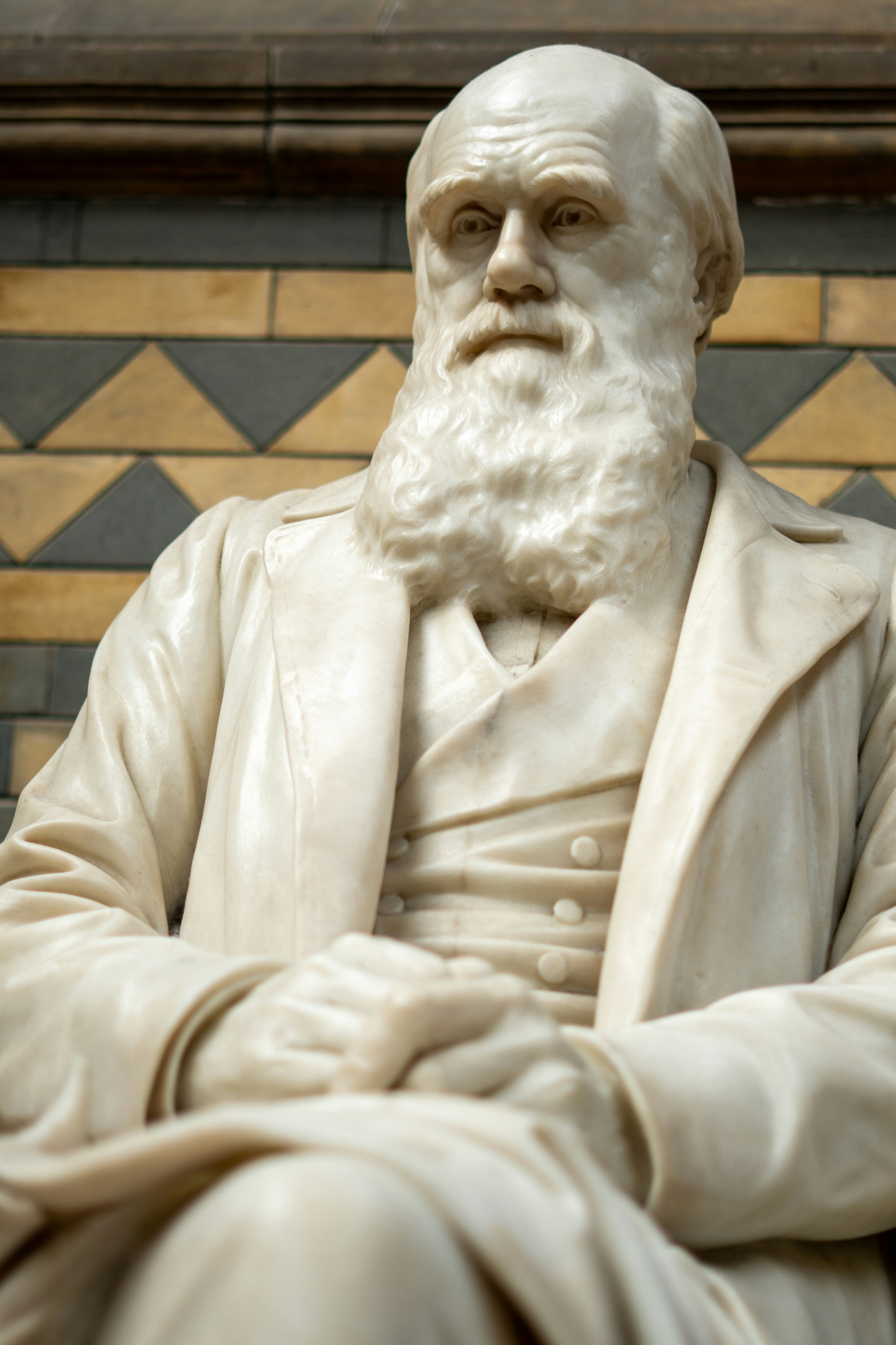 Marble statue of charles darwin with beard