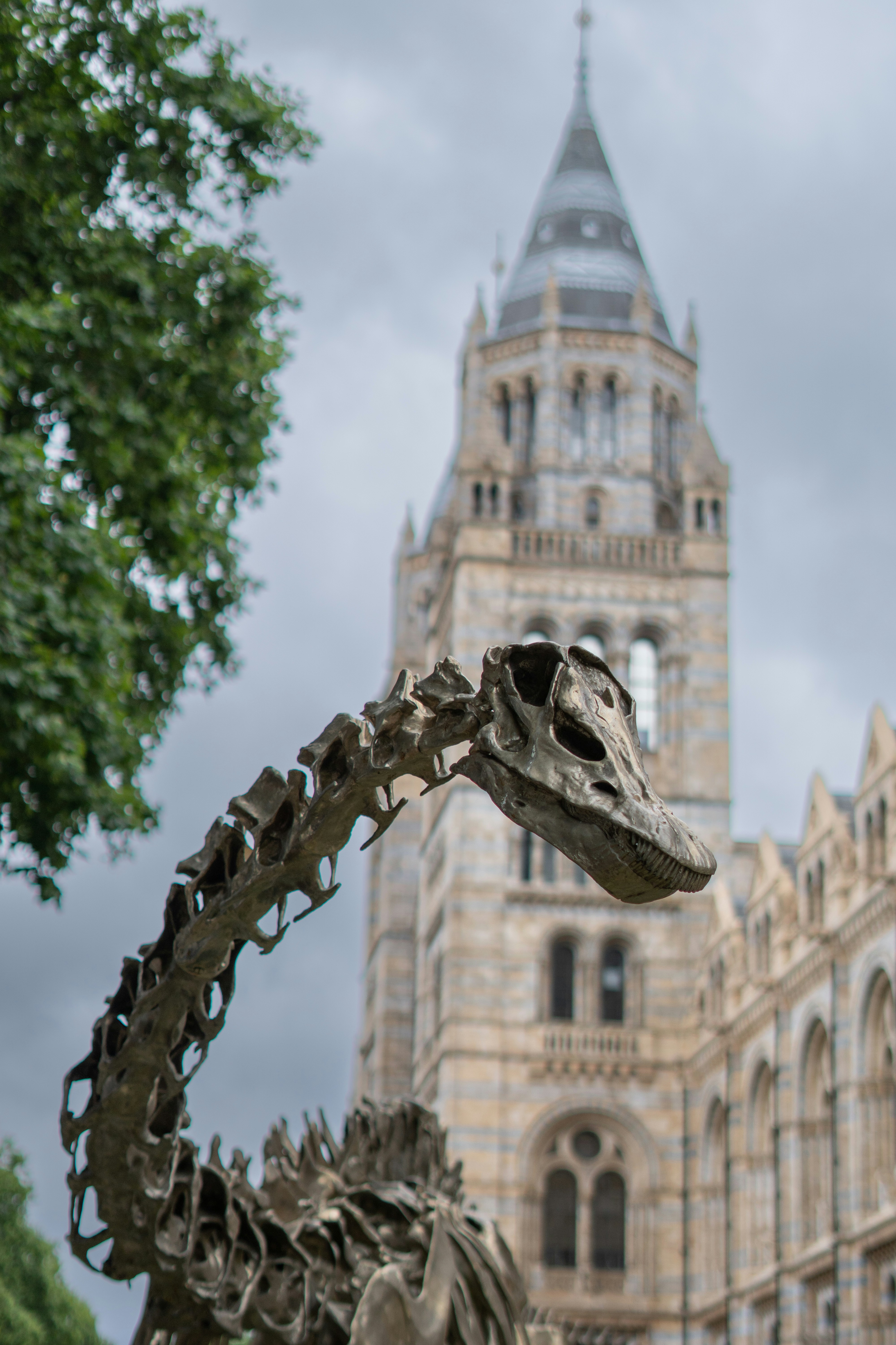 Dinosaur skeleton outside a grand stone building