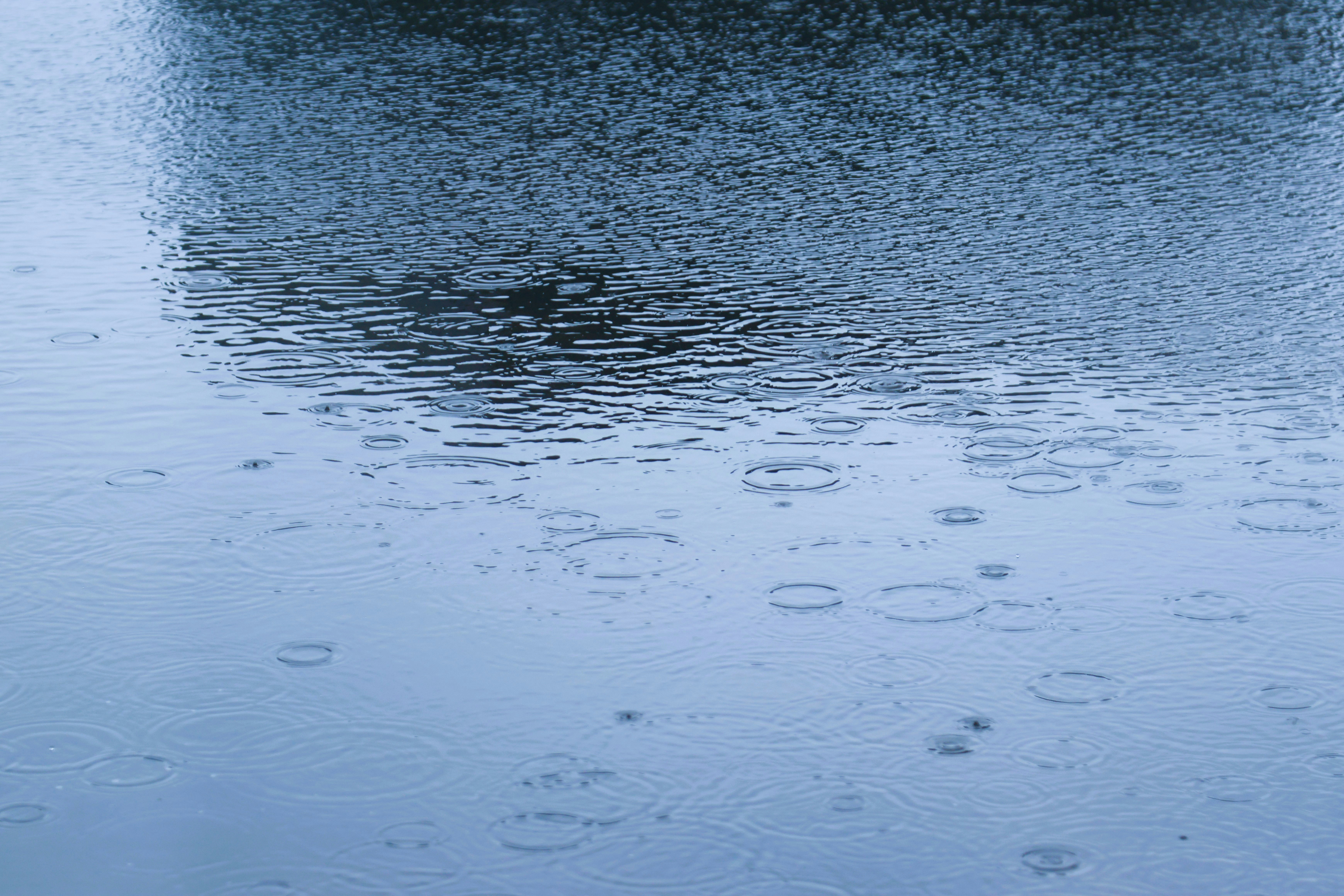 Photo by ssdesignandphotography_