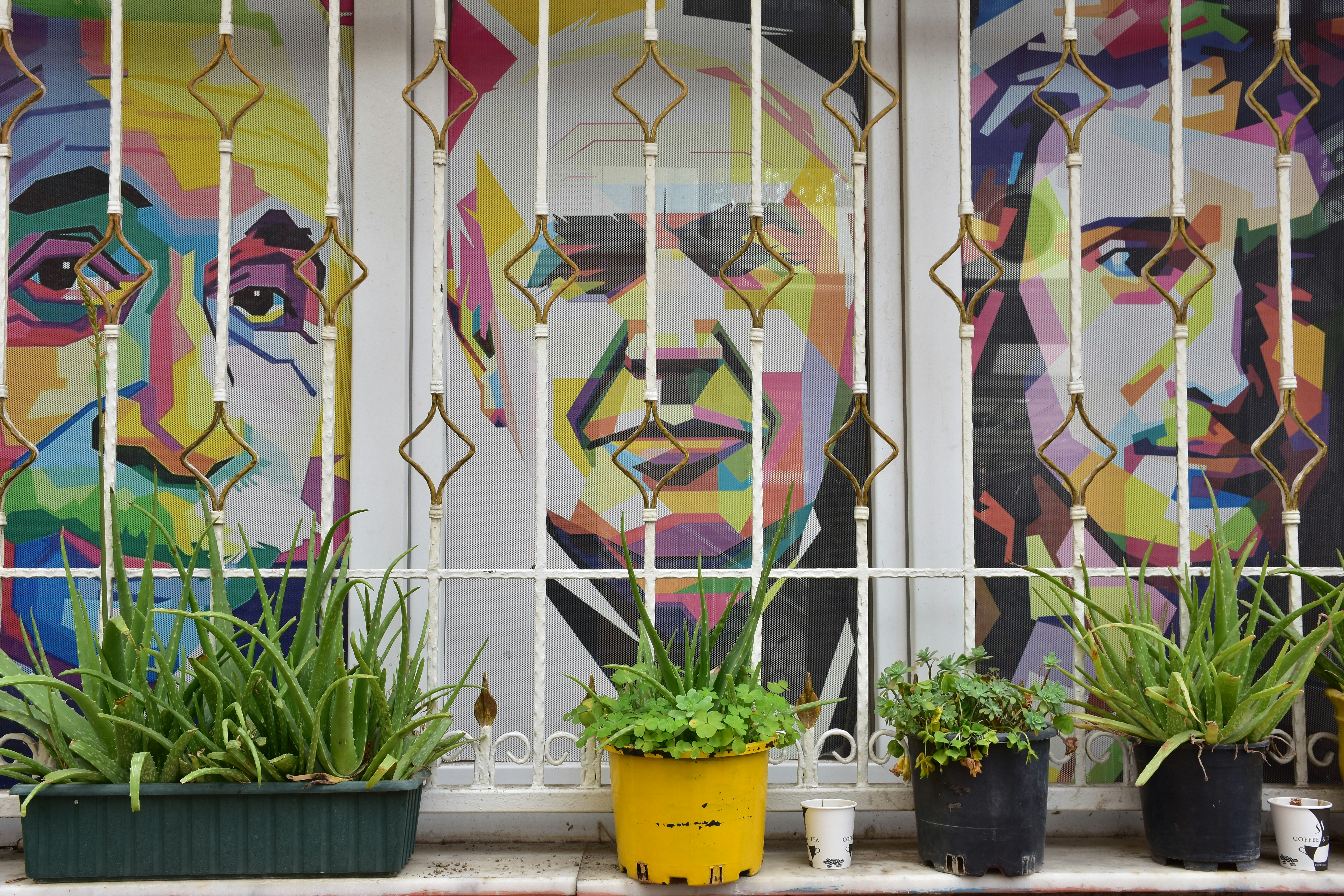 Colorful portraits displayed behind a barred window.