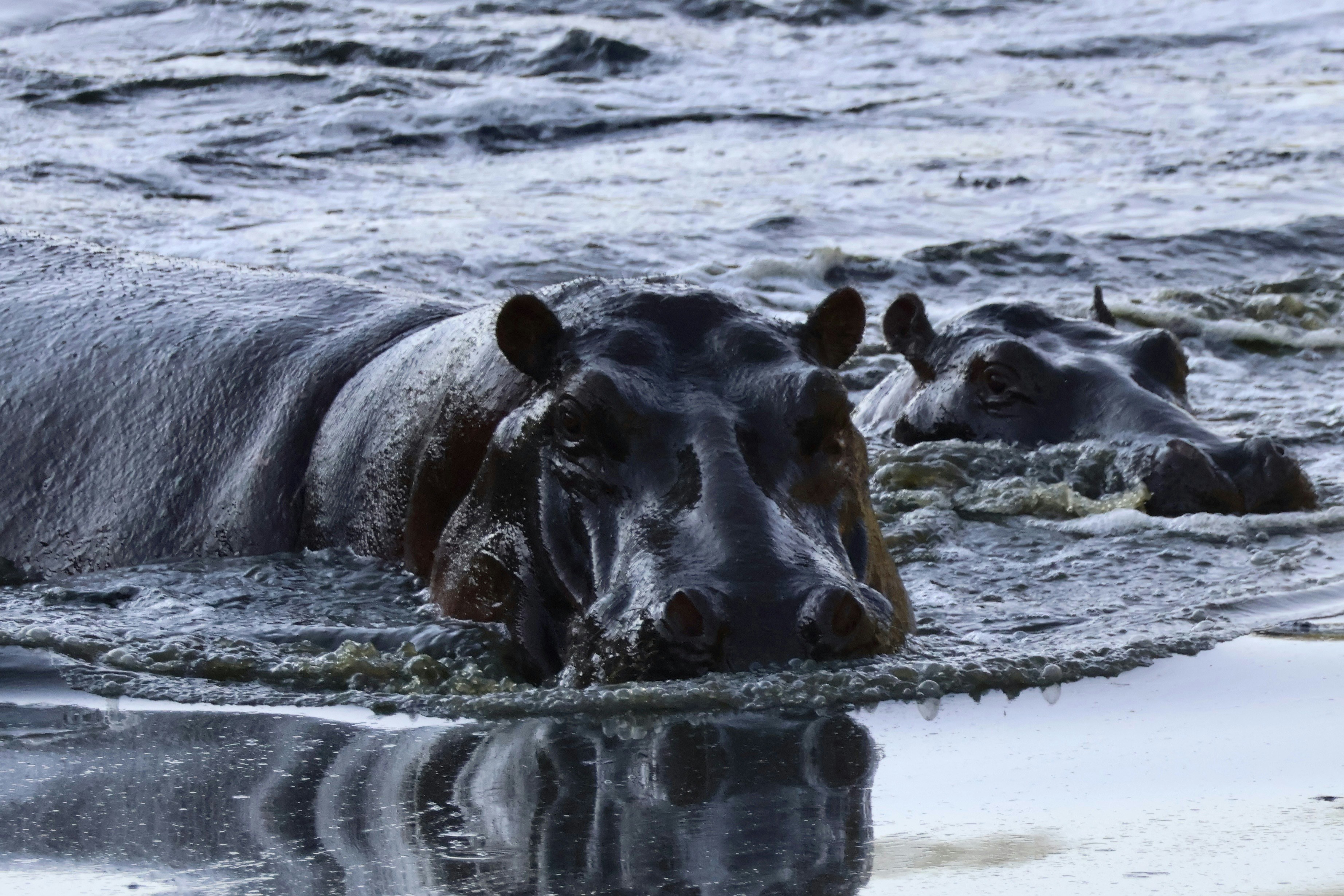 Photo by john_cameron