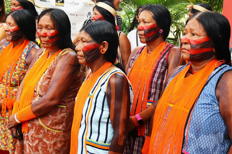 Indigenous Peoples of the Amazon: Guardians of the Forest