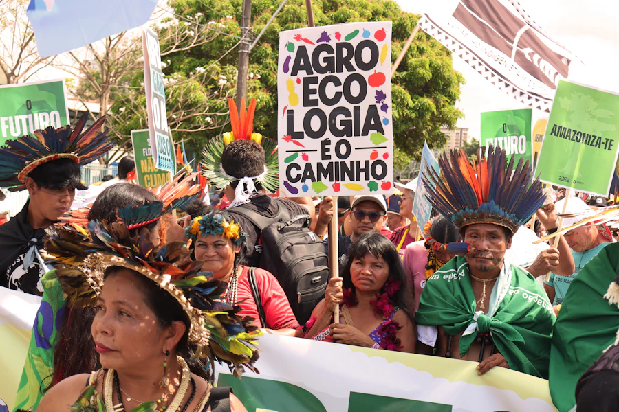 Indigenous environmental advocates in Brazil