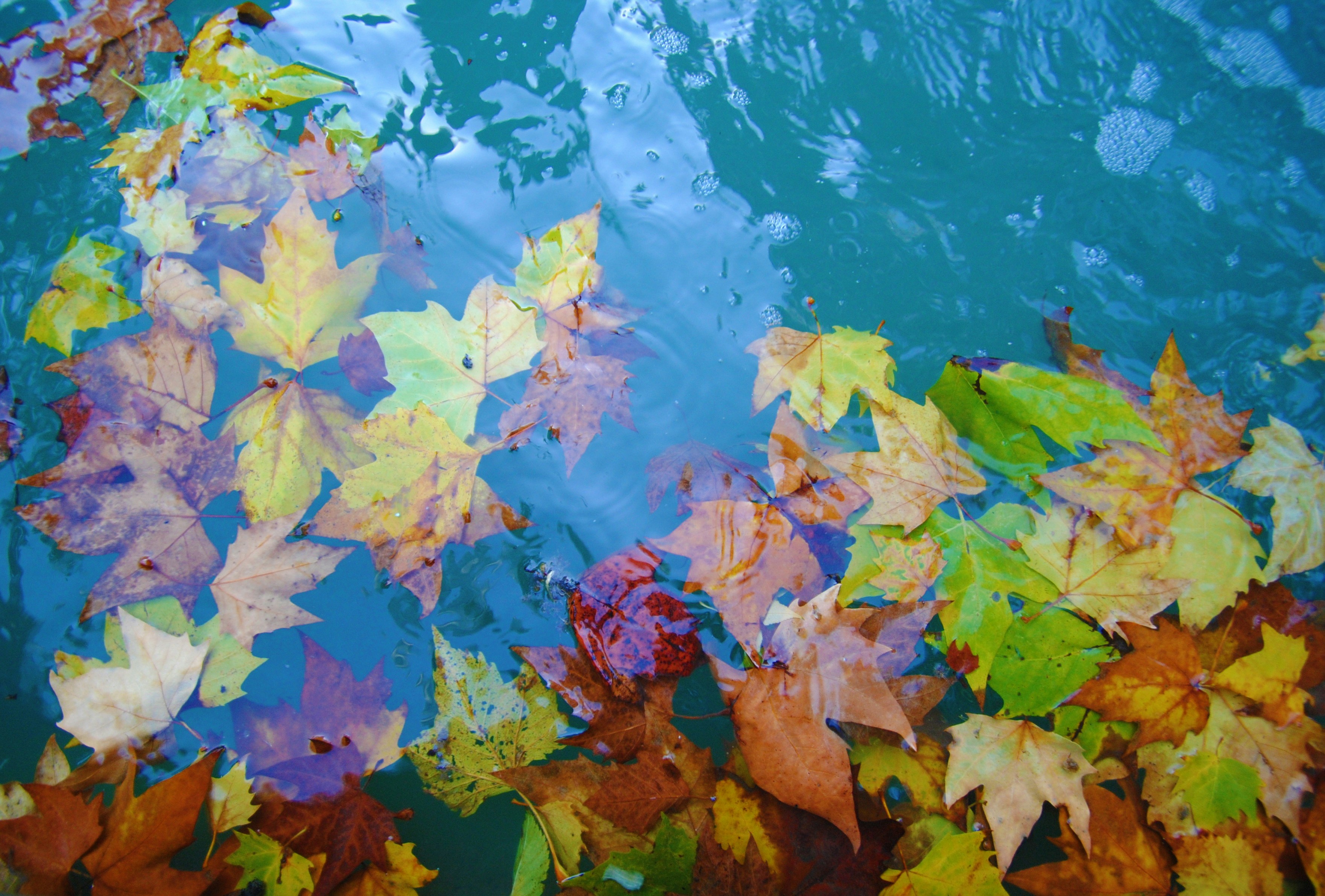 Photo by kallenicole