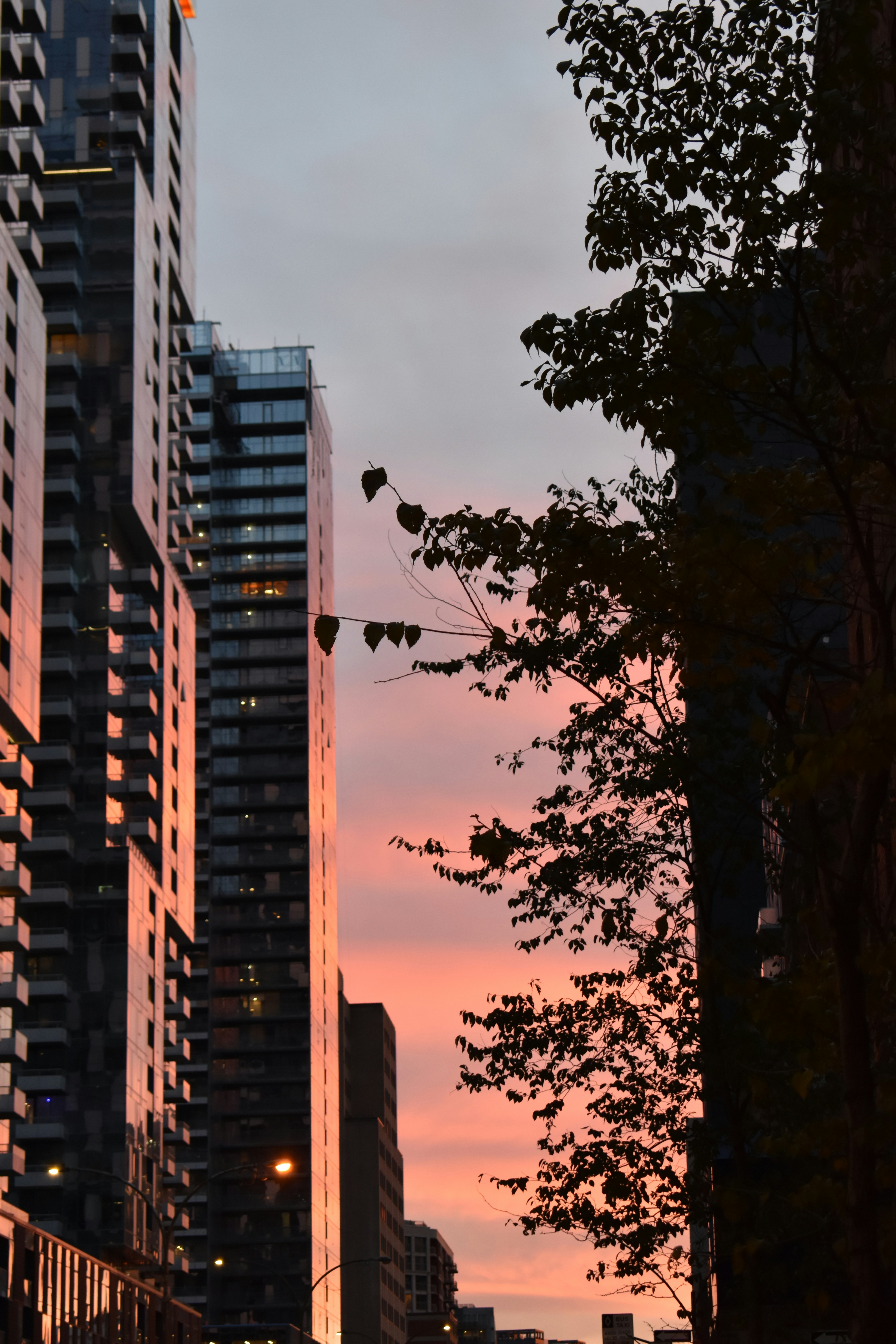 Hohe Gebäude mit einem rosa Sonnenuntergangshimmel.