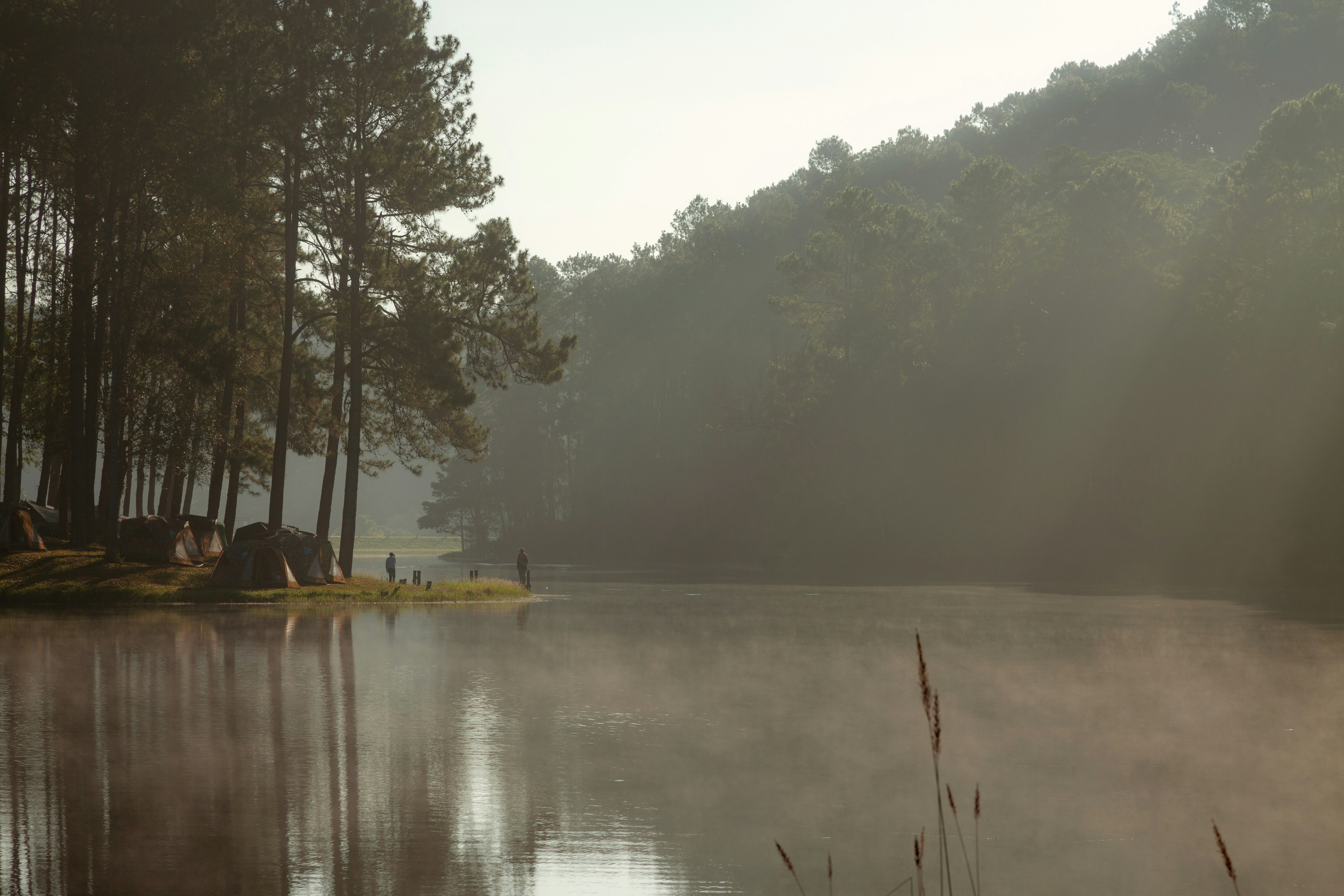 Misty lake surrounded by pine trees and hills