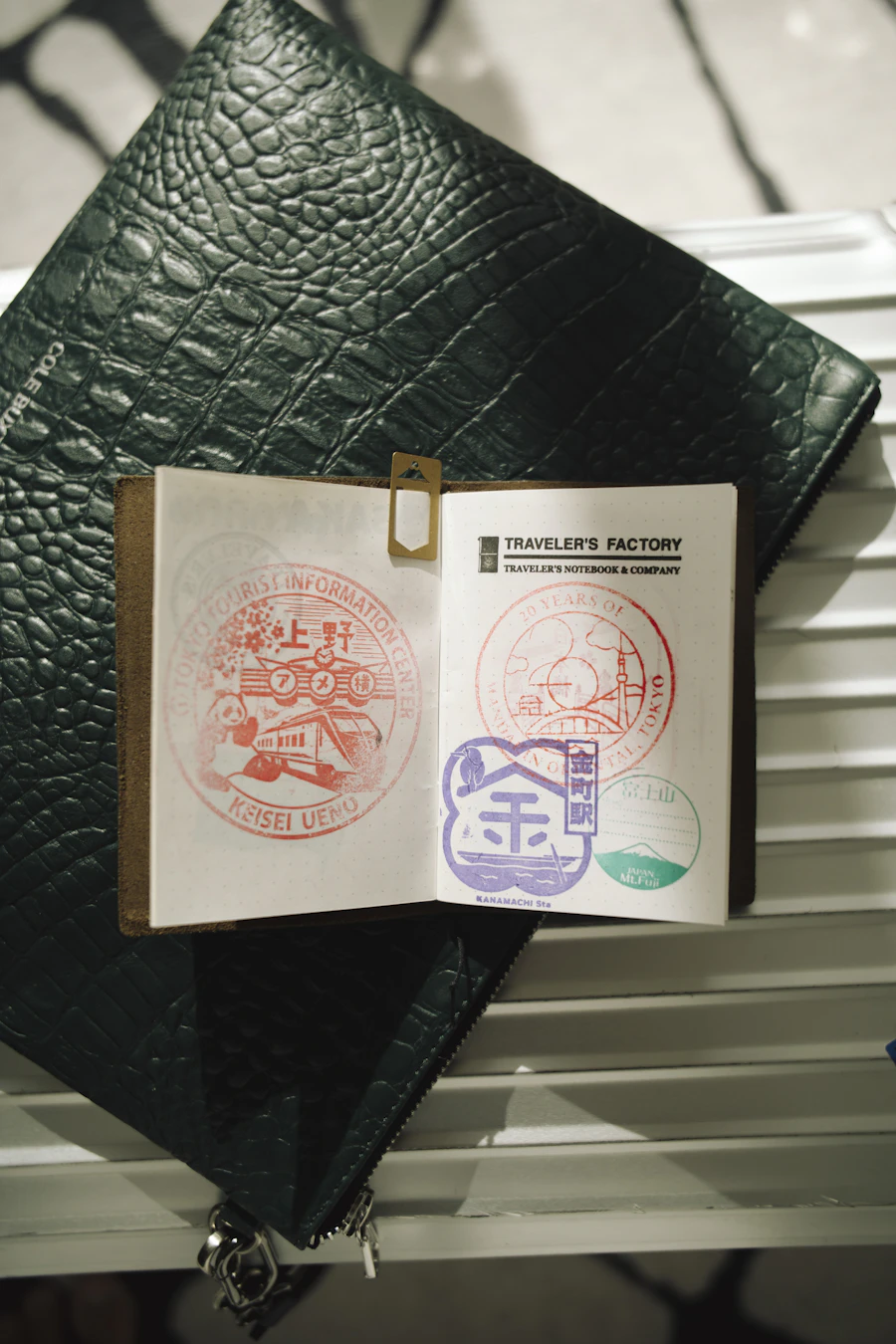 Gestión de Visas