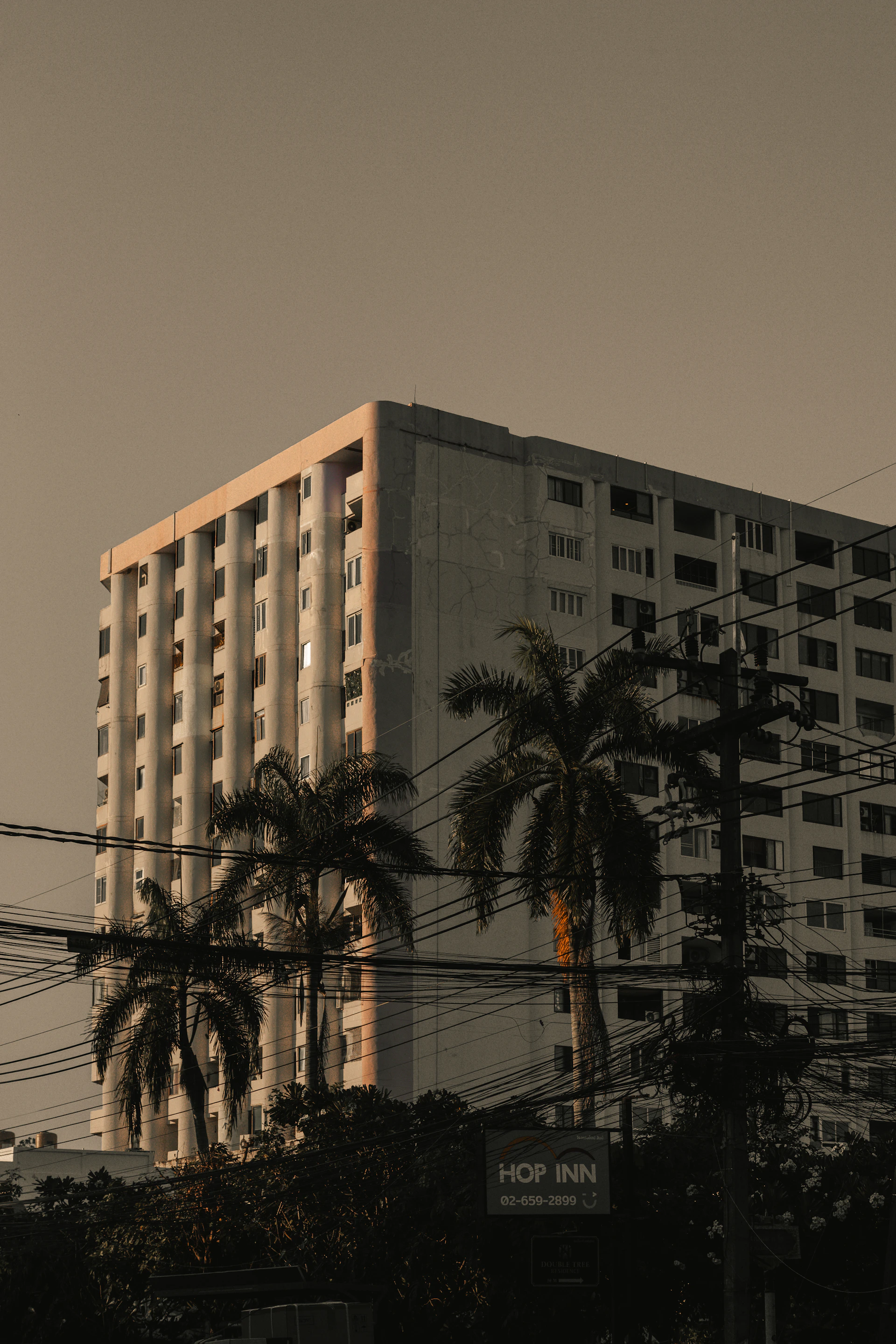 Tall apartment building with palm trees and power lines.