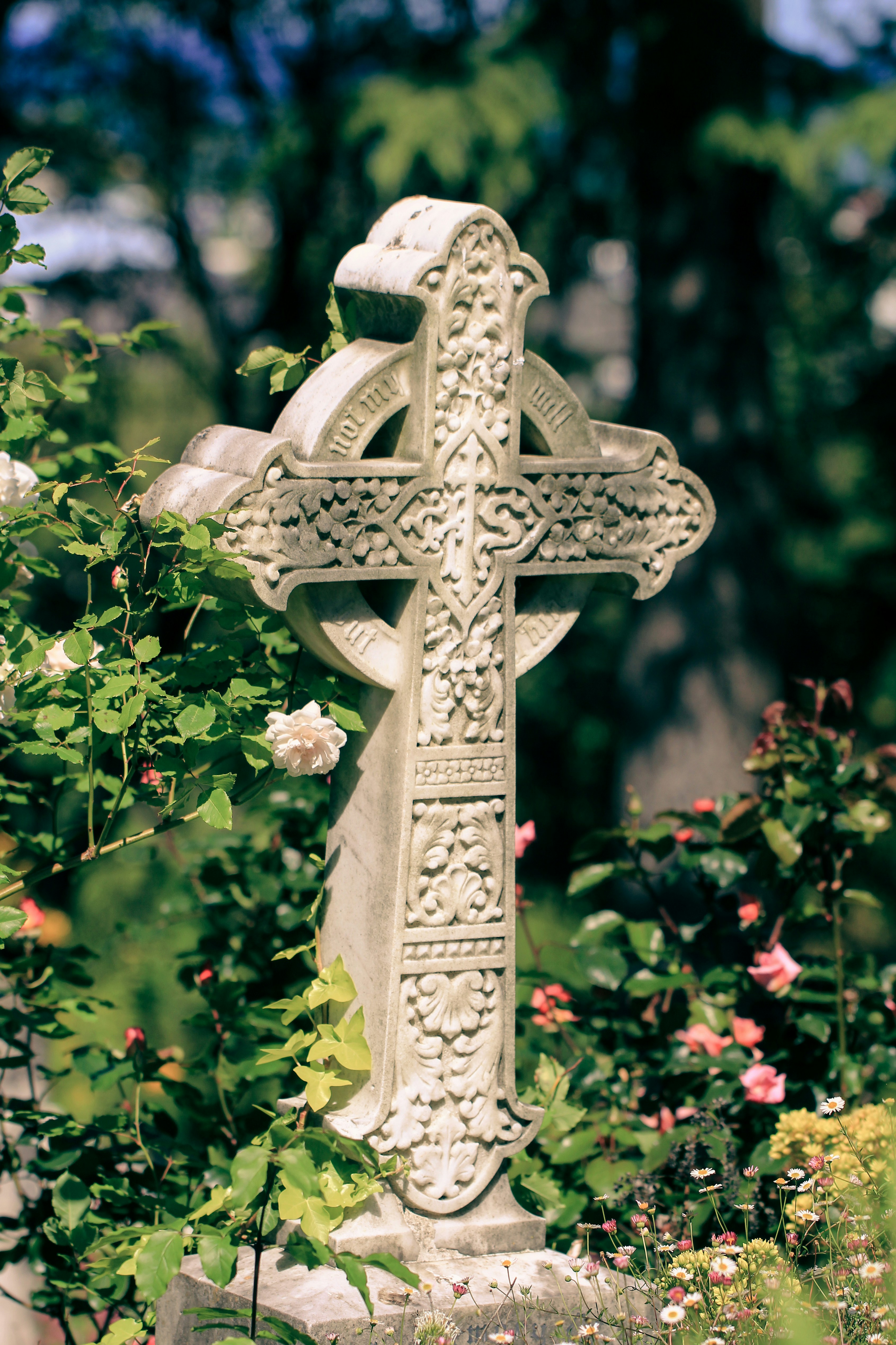 Ornate celtic cross tombstone surrounded by roses.