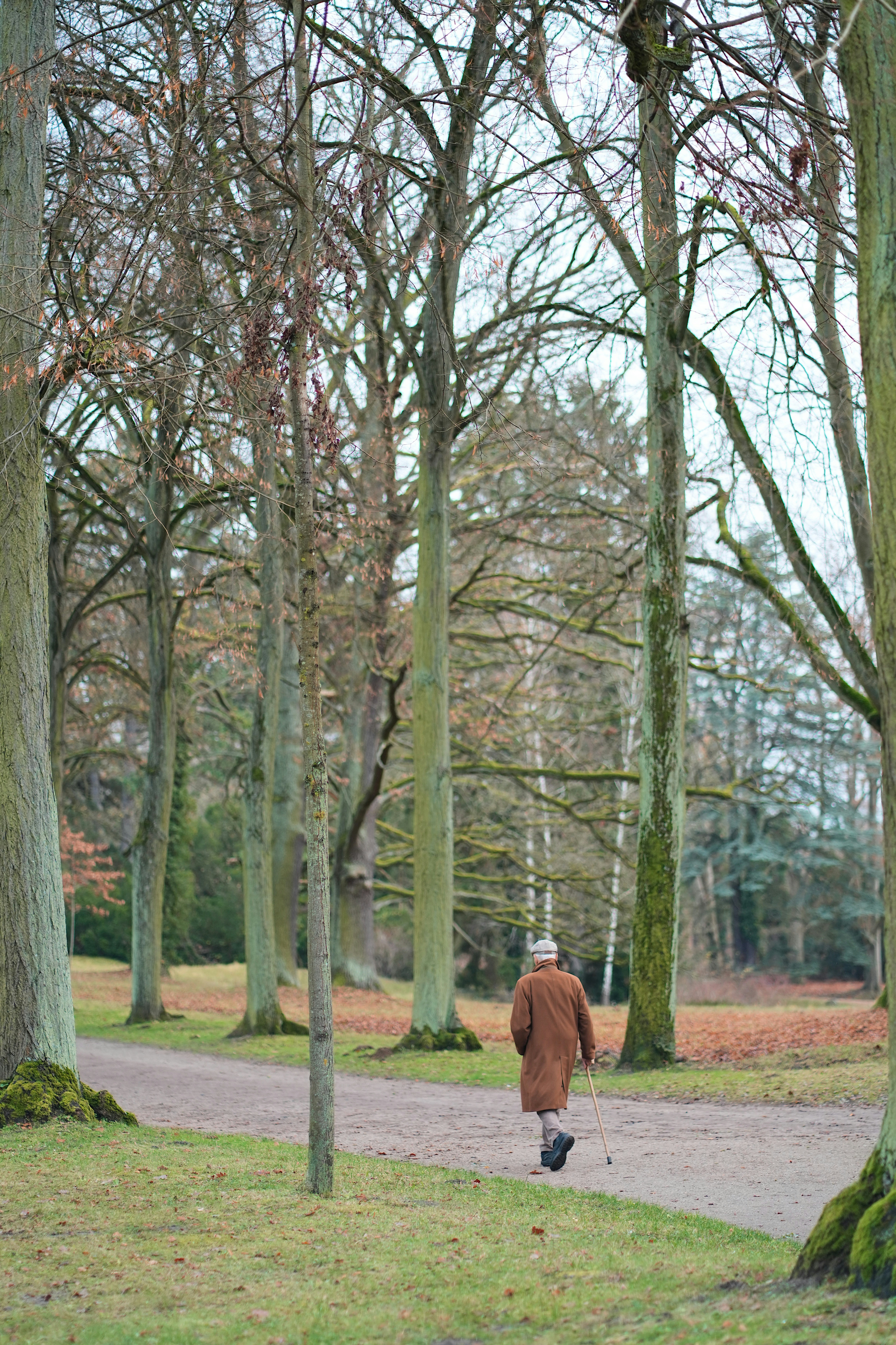 Elderly person walks down a park path in autumn.