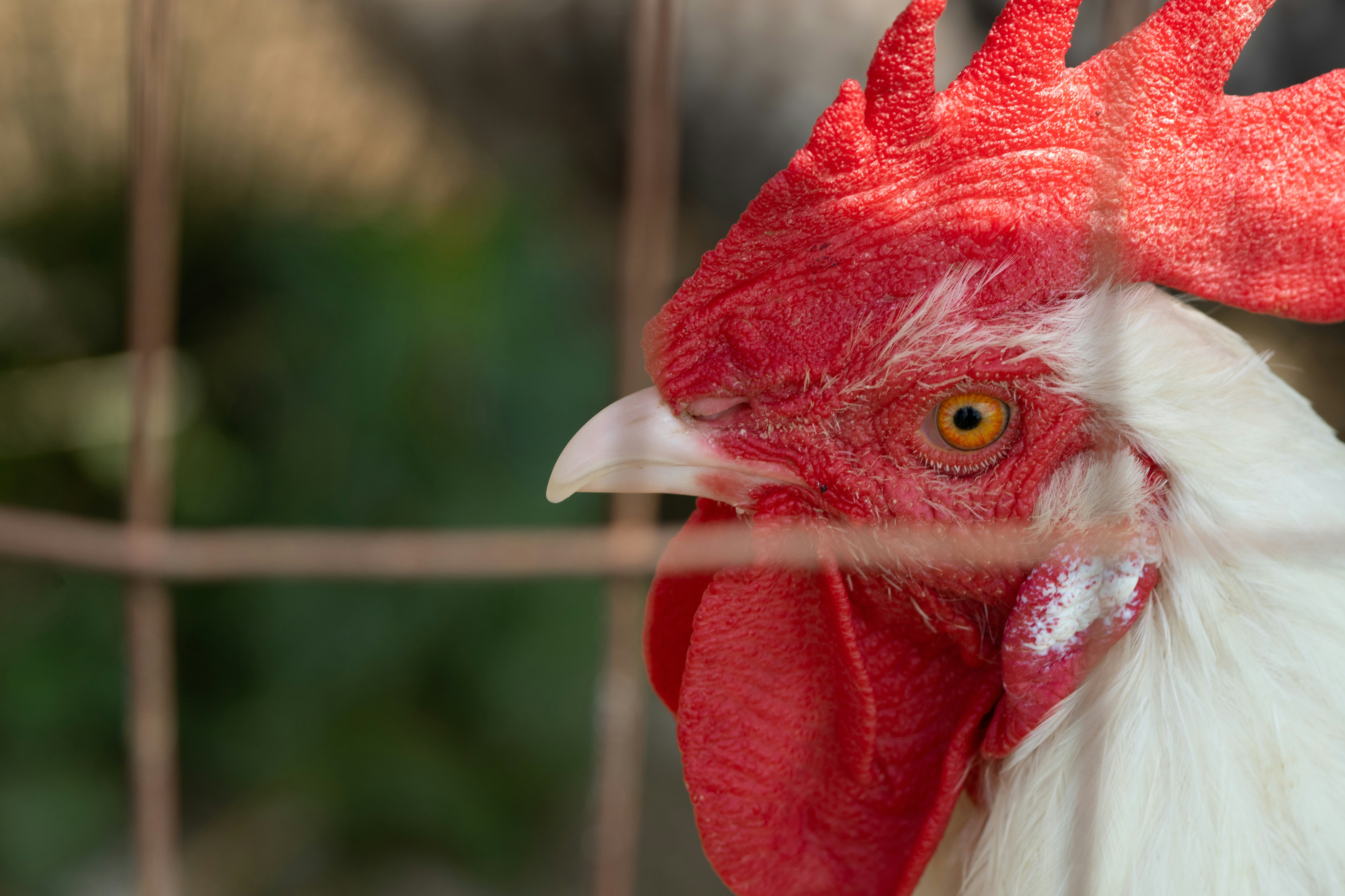 Photo by zackotto126